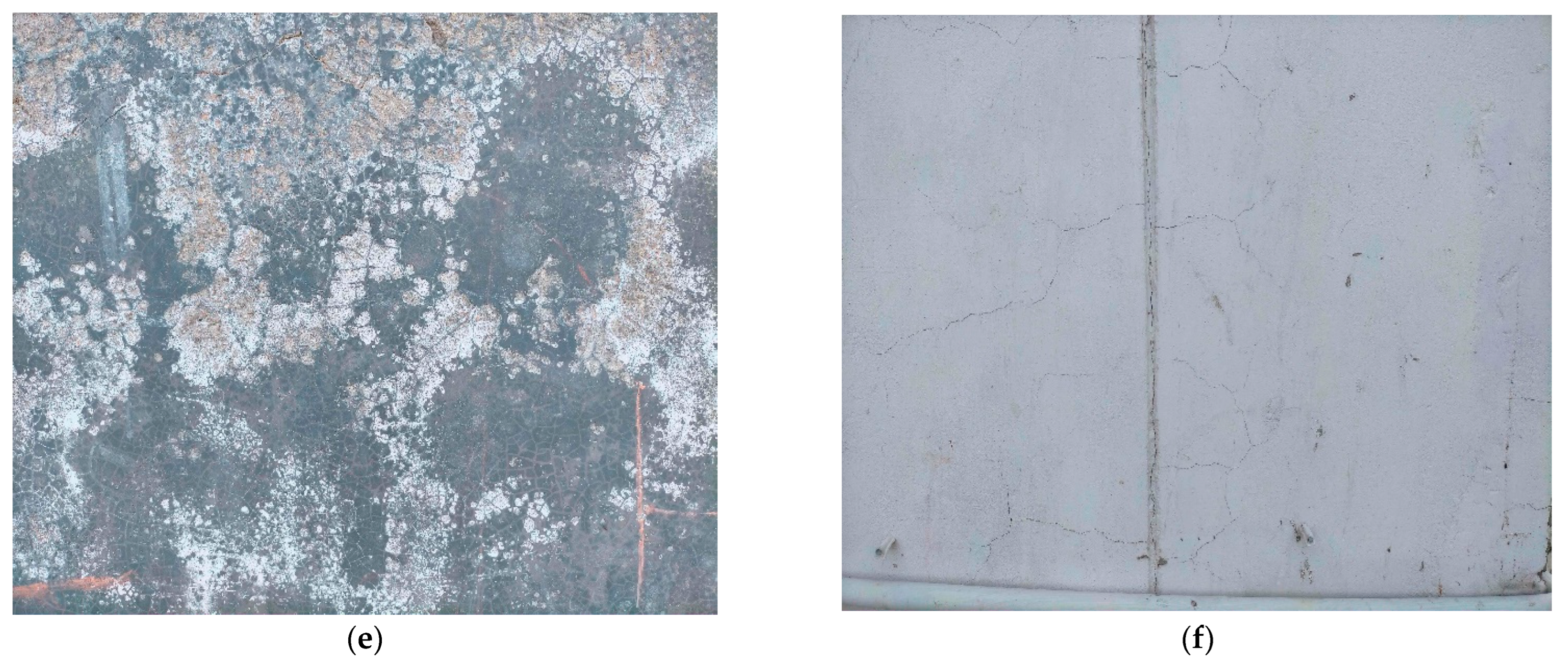 Sensors 24 04257 g004b