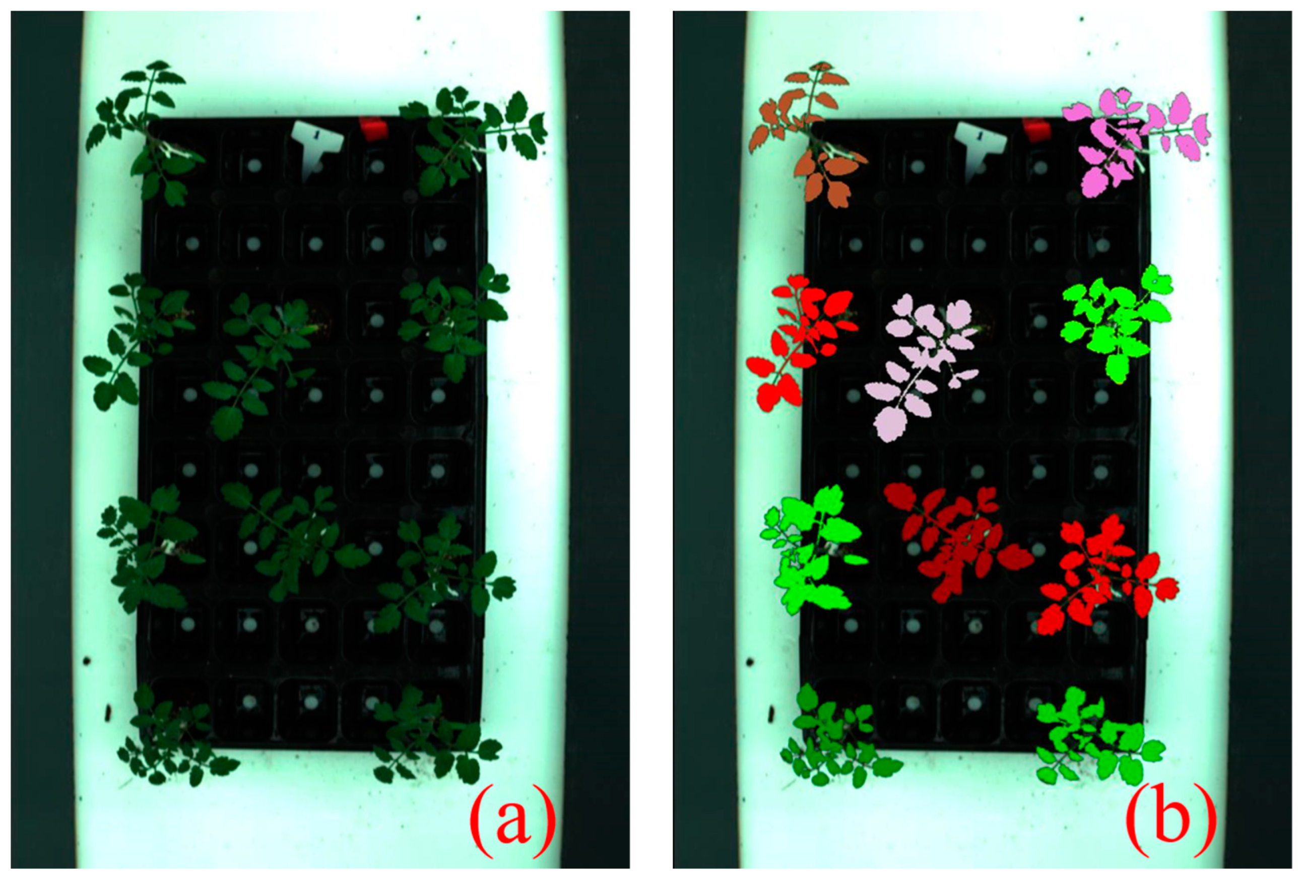 Sensors 24 04260 g002