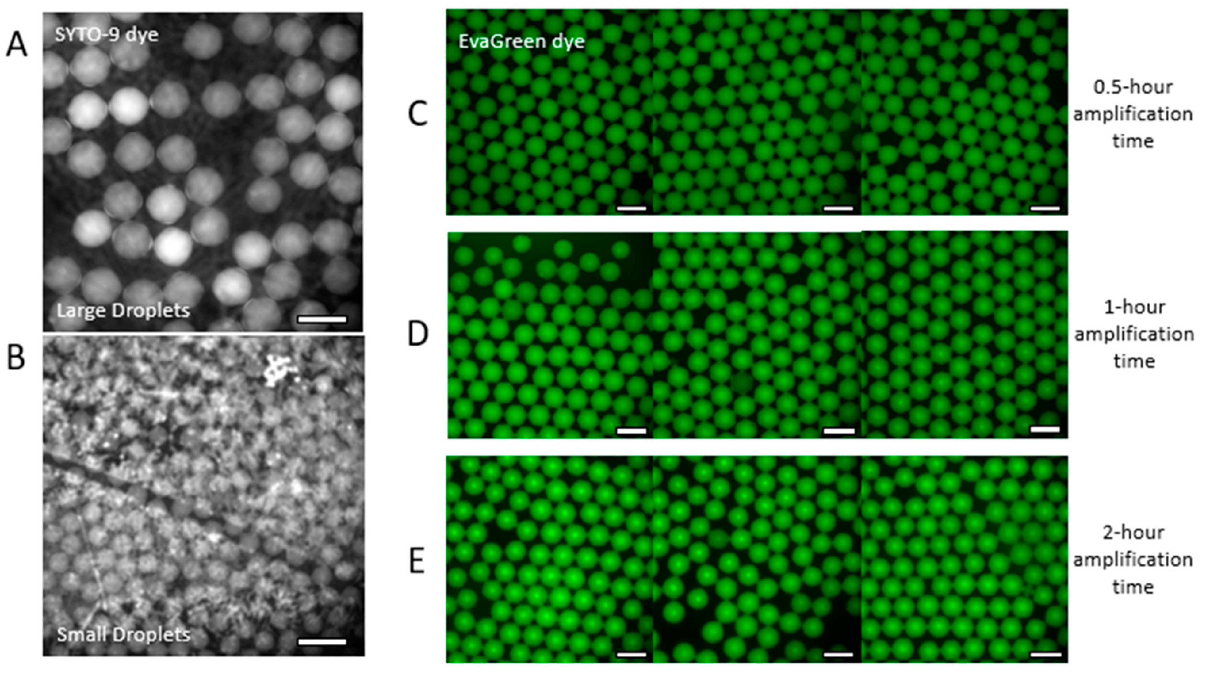 Sensors 24 04266 g003