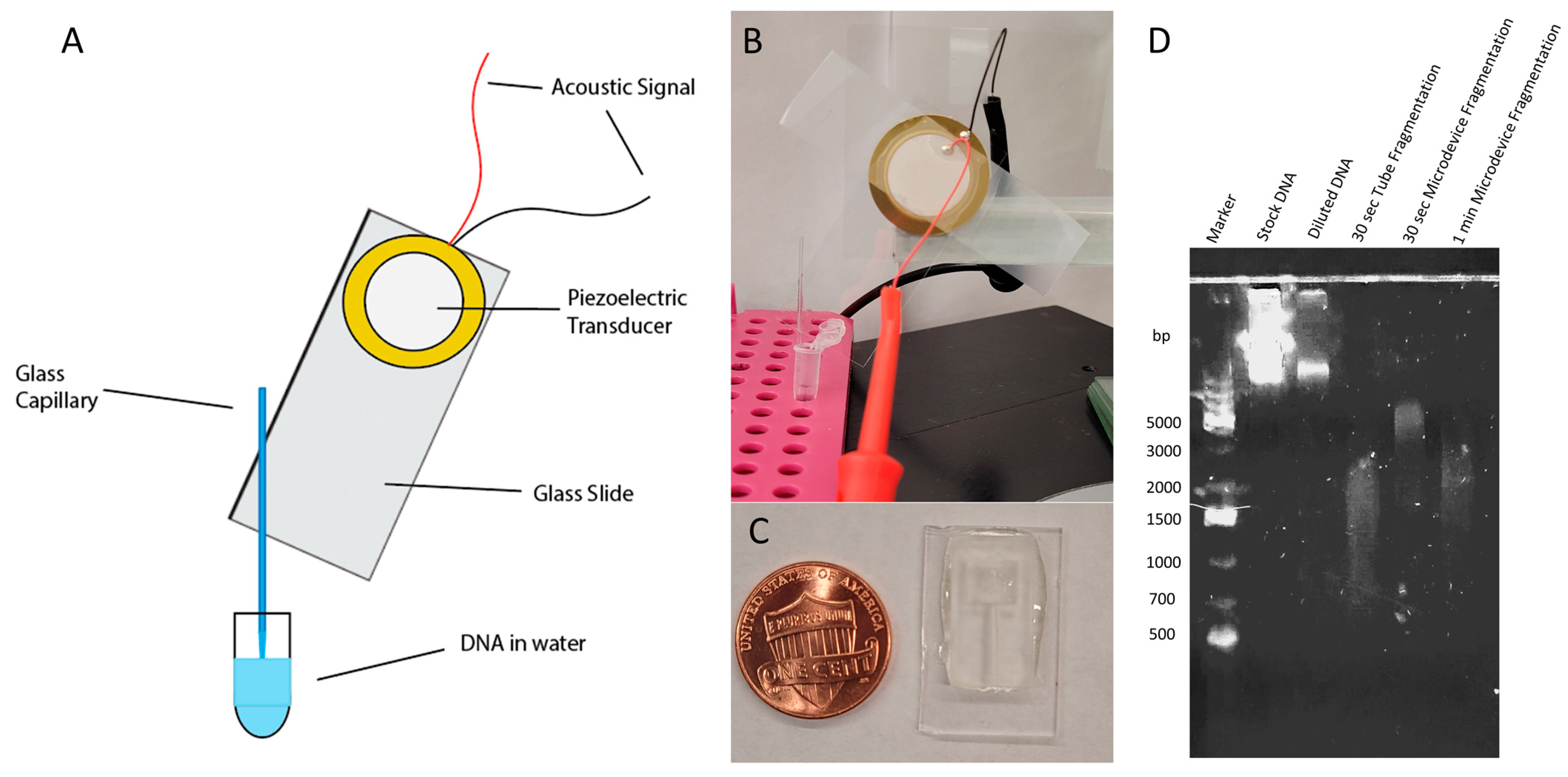 Sensors 24 04266 g004