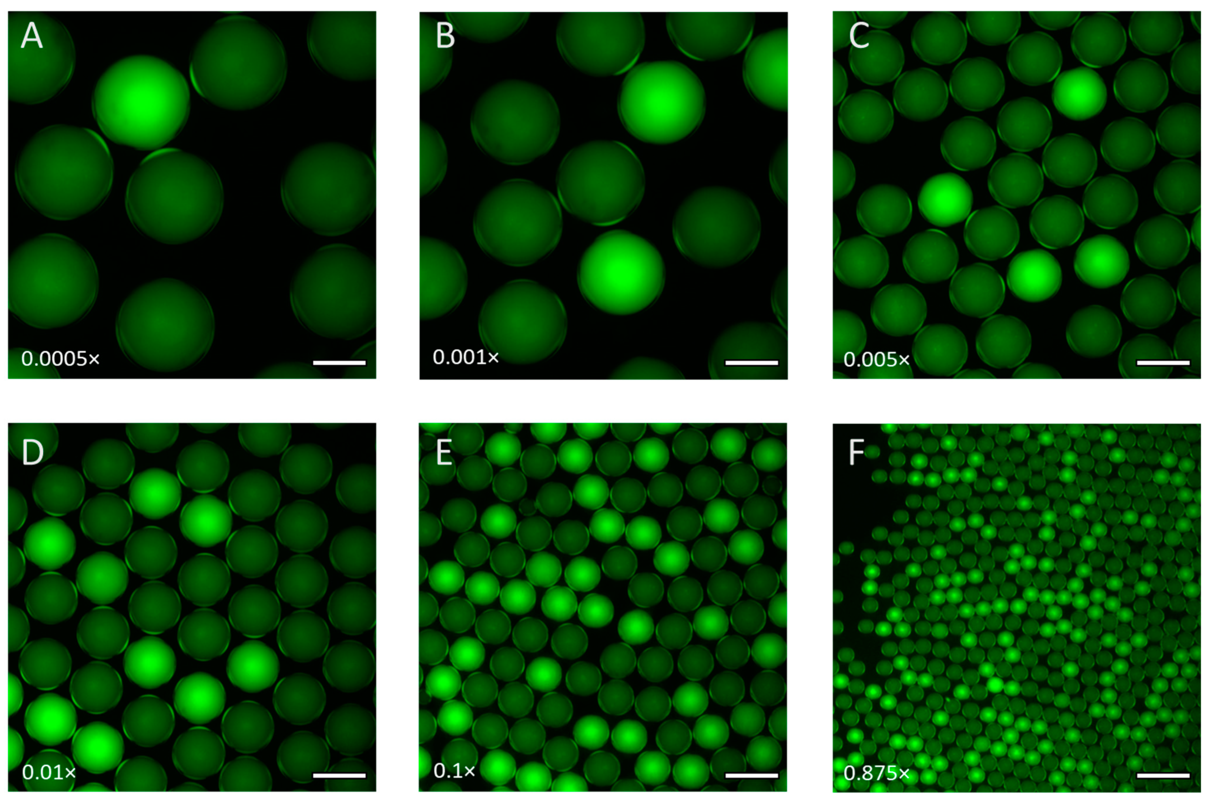 Sensors 24 04266 g005