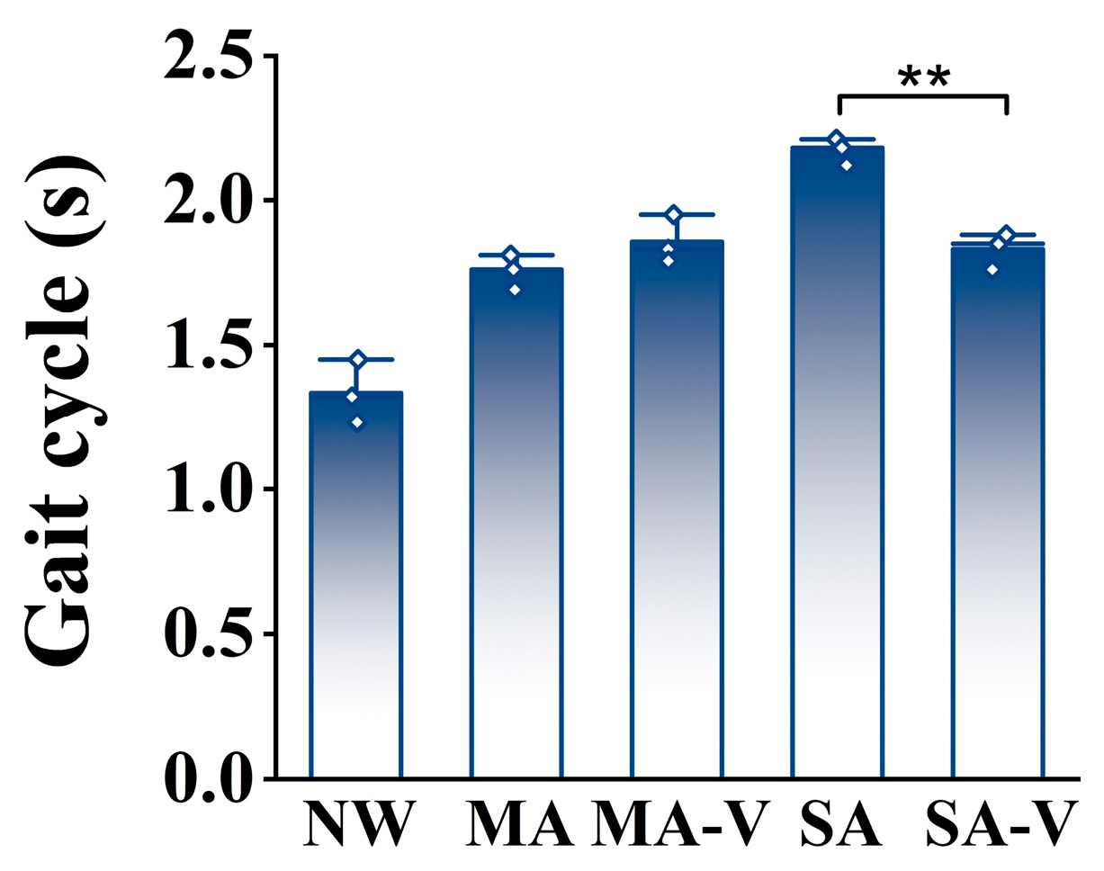 Sensors 24 04273 g007