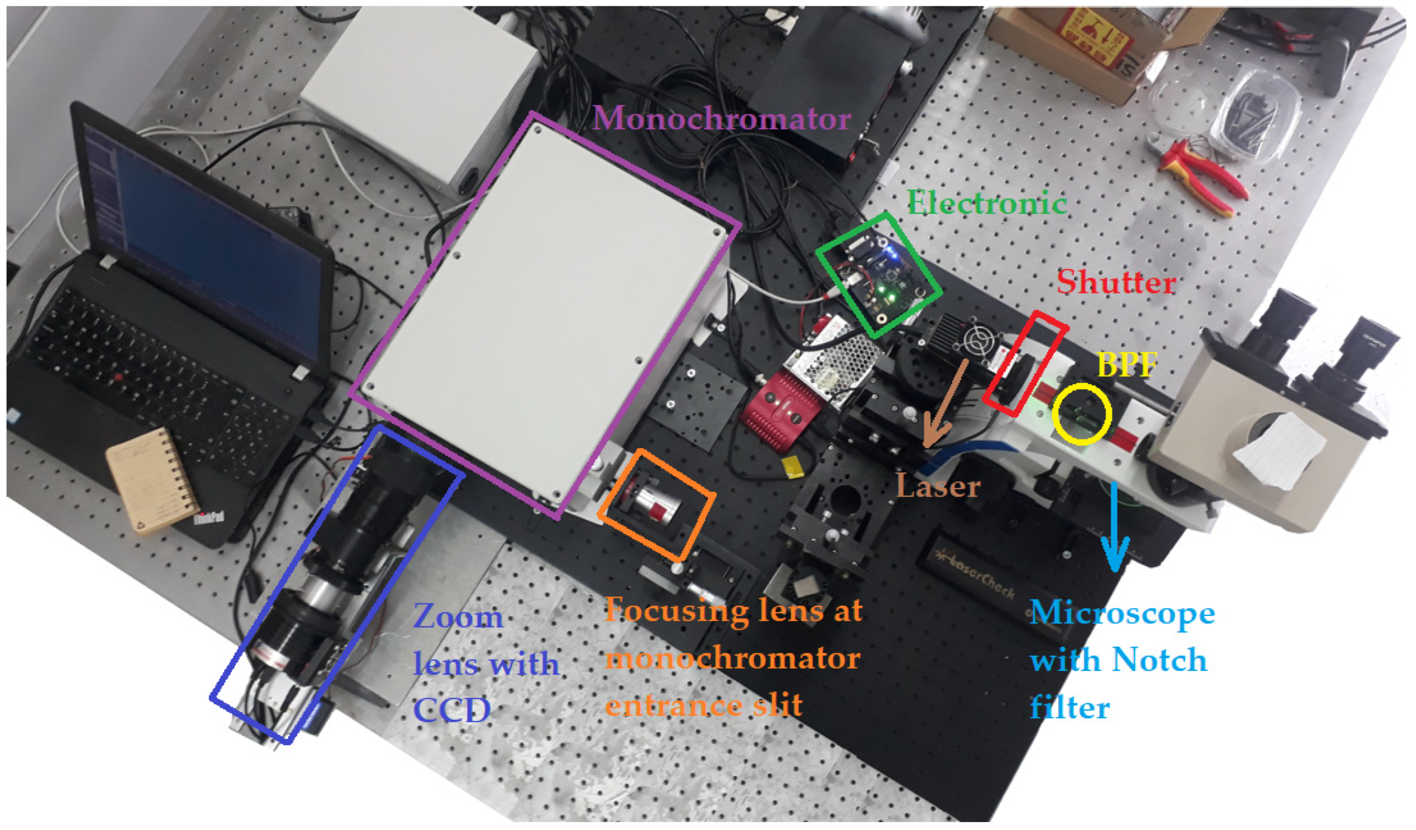 Sensors 24 04284 g003