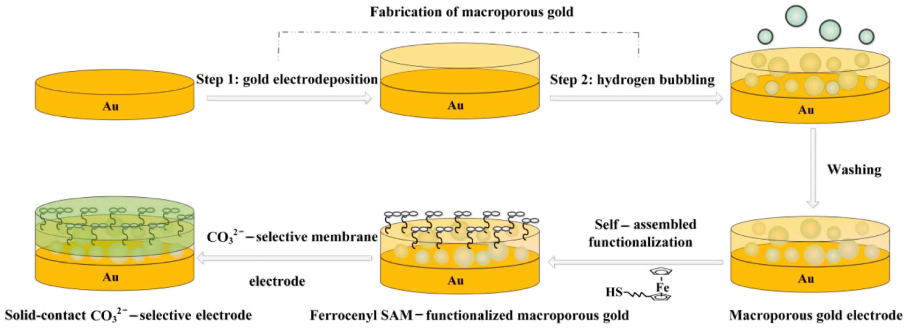 Sensors 24 04289 g004