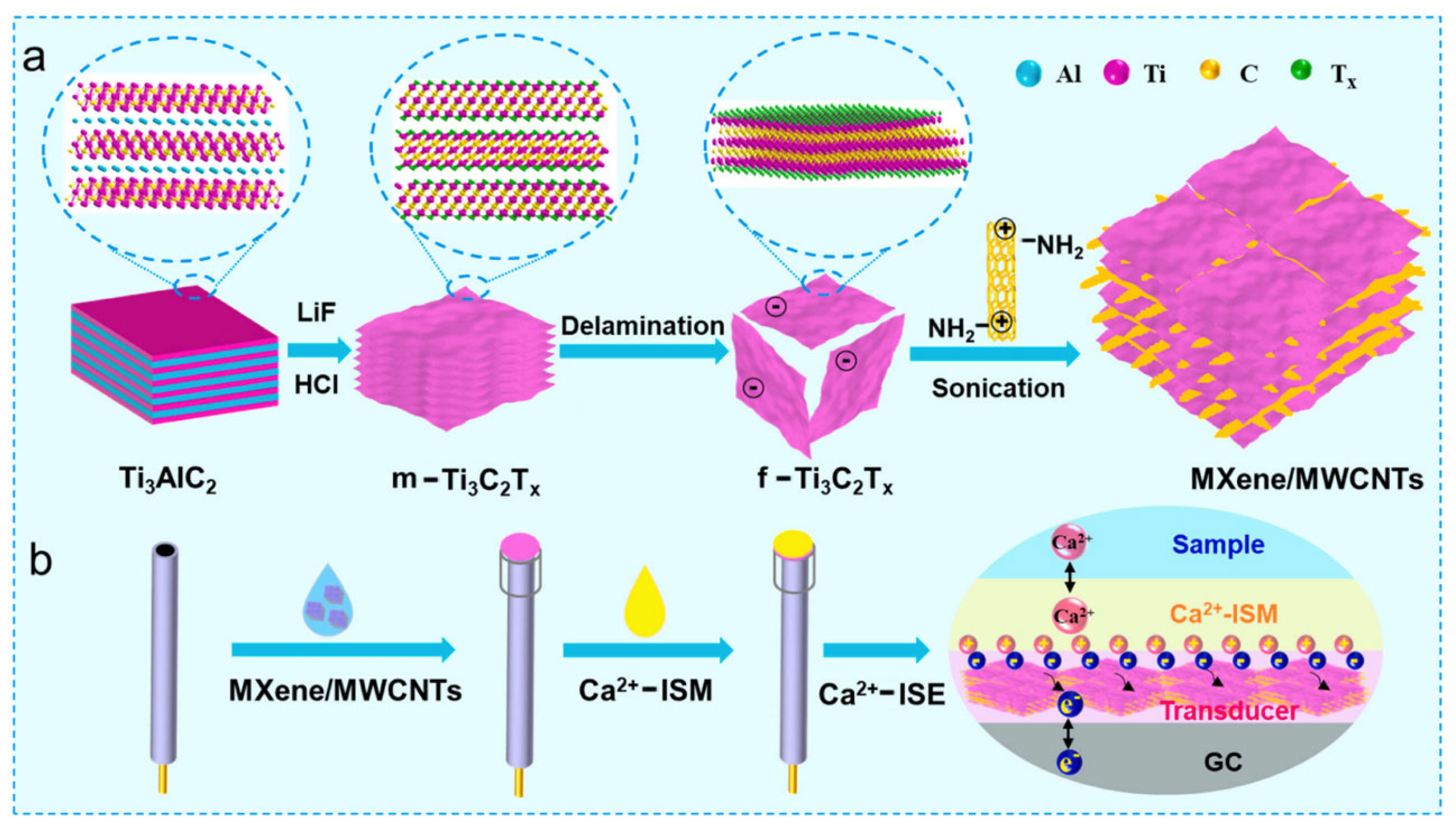 Sensors 24 04289 g007