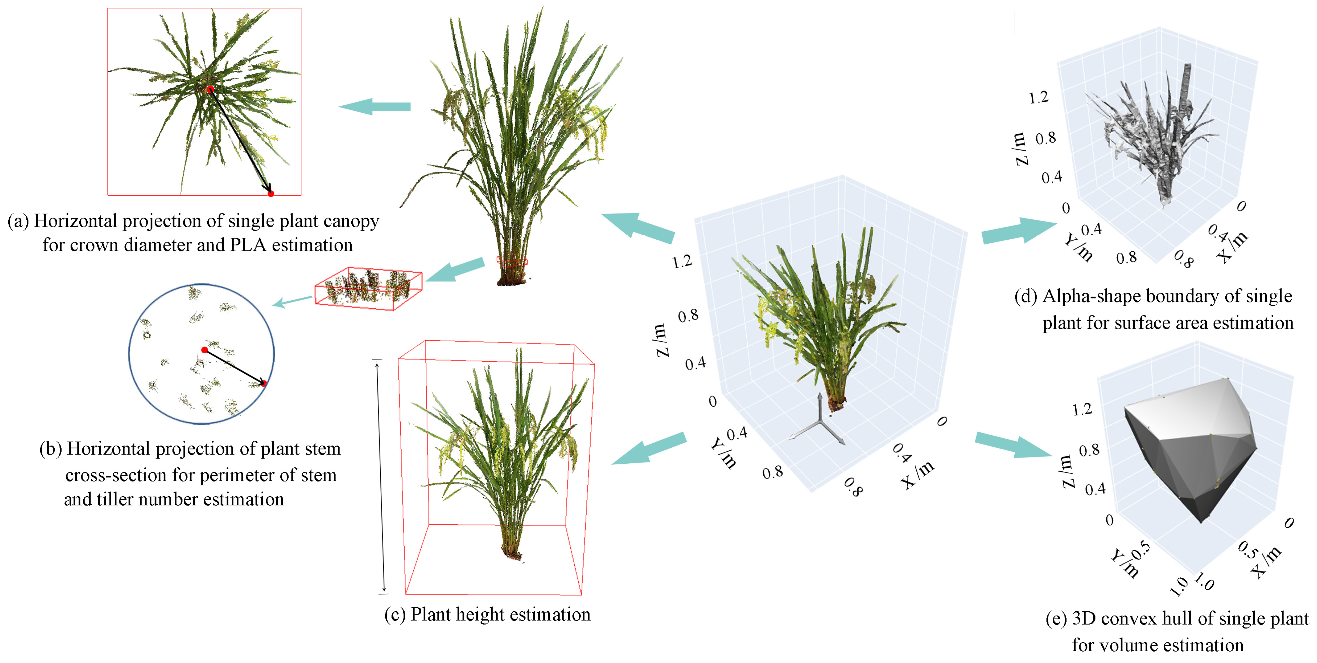 Sensors 24 04322 g001