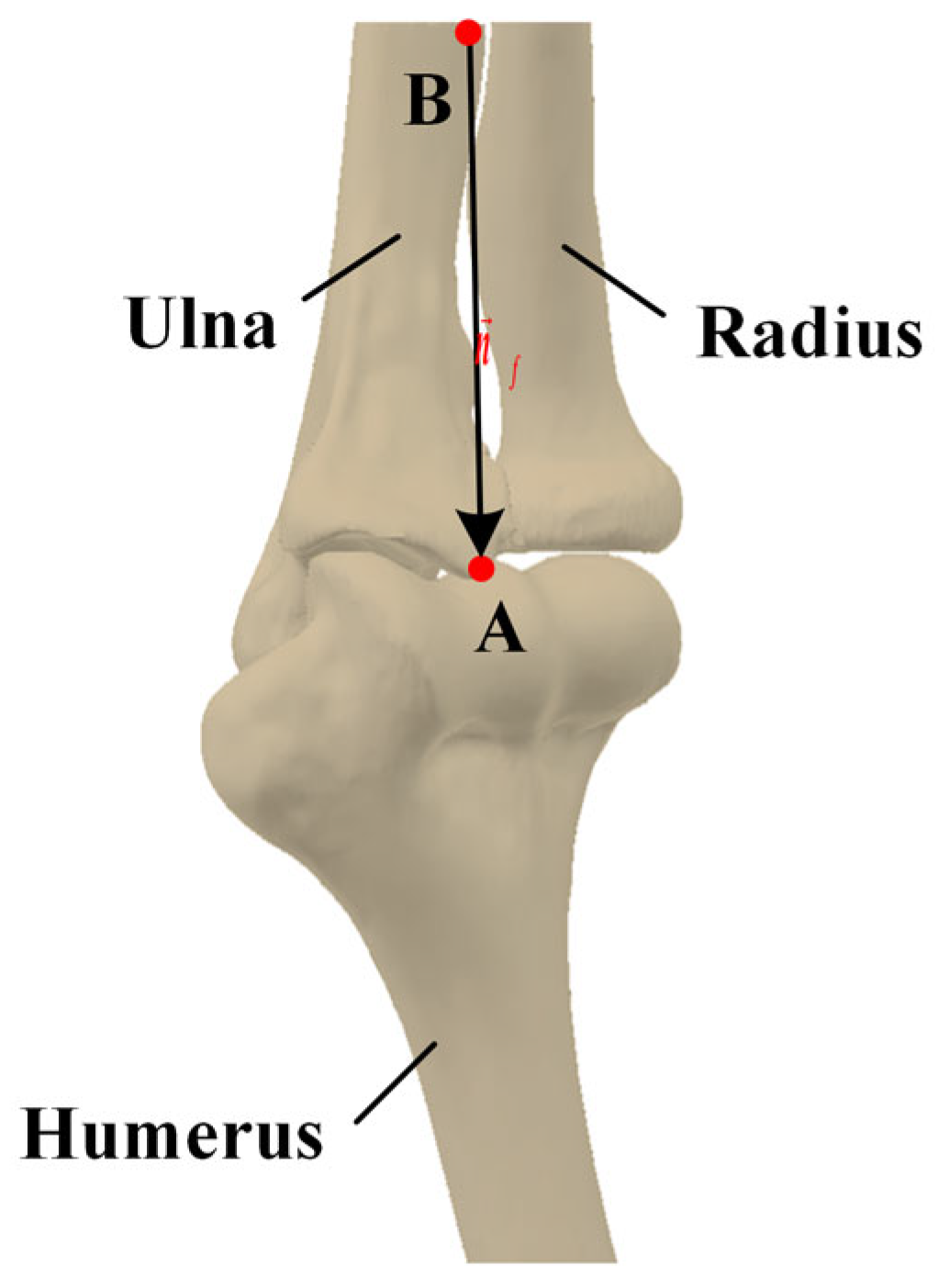 Sensors 24 04330 g005