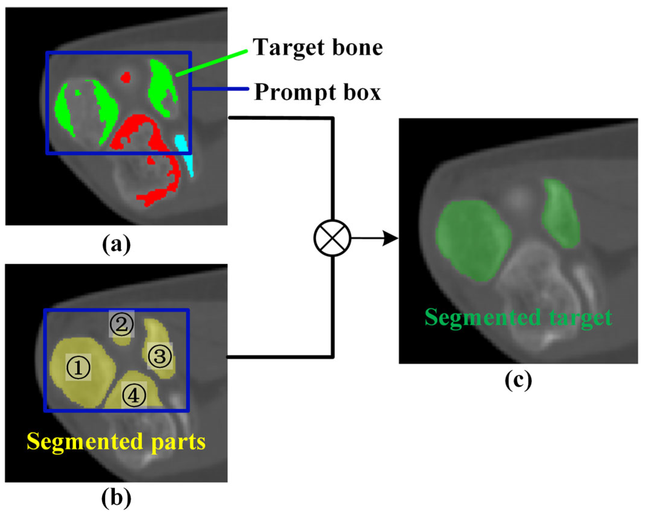 Sensors 24 04330 g007