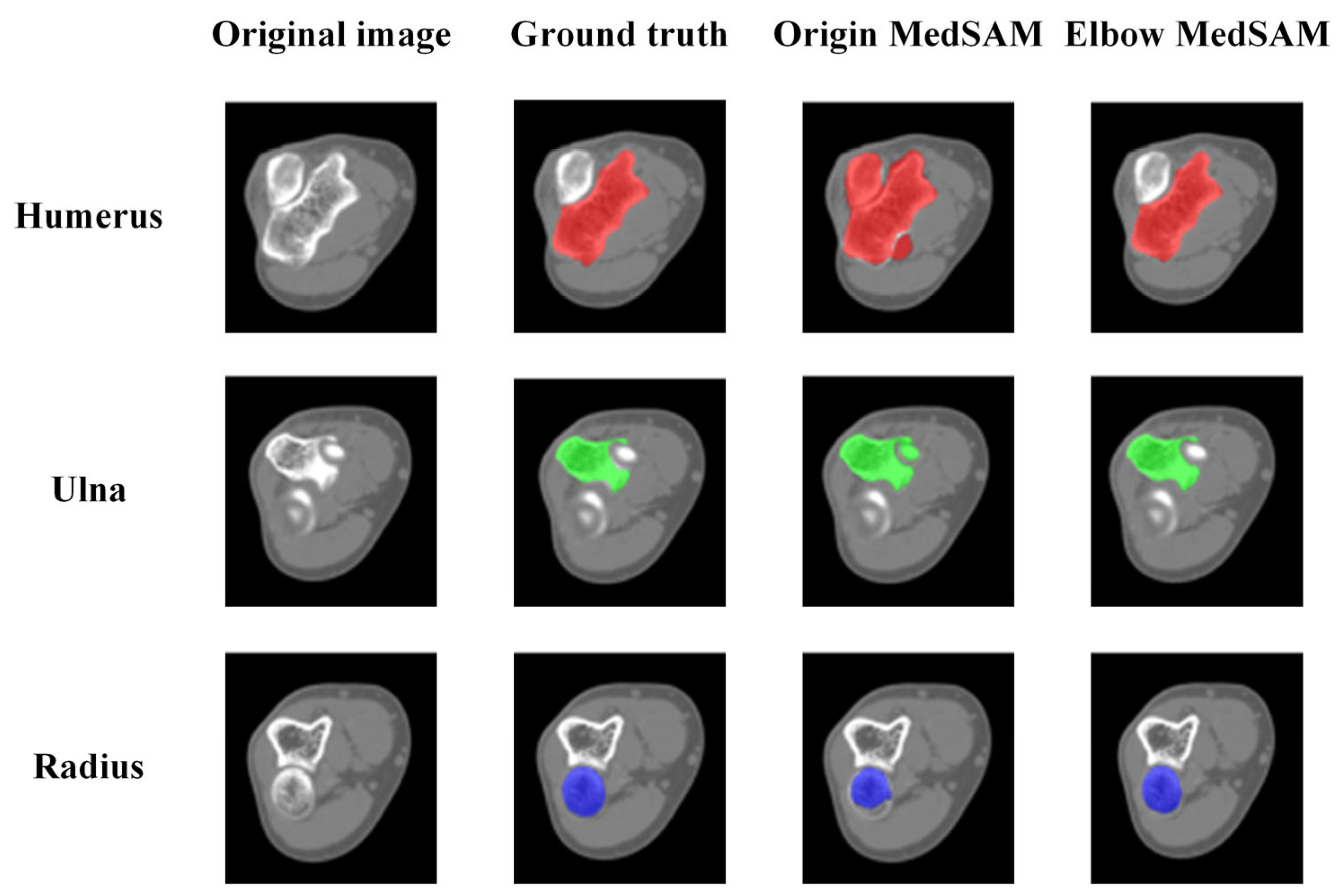 Sensors 24 04330 g014