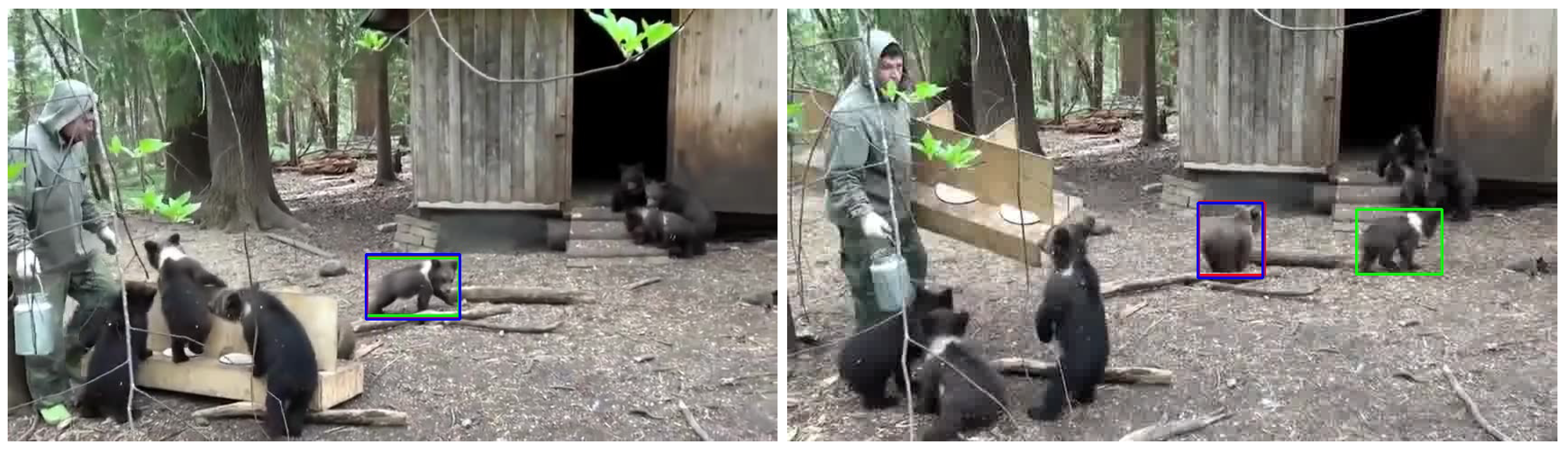 Sensors 24 04359 g007