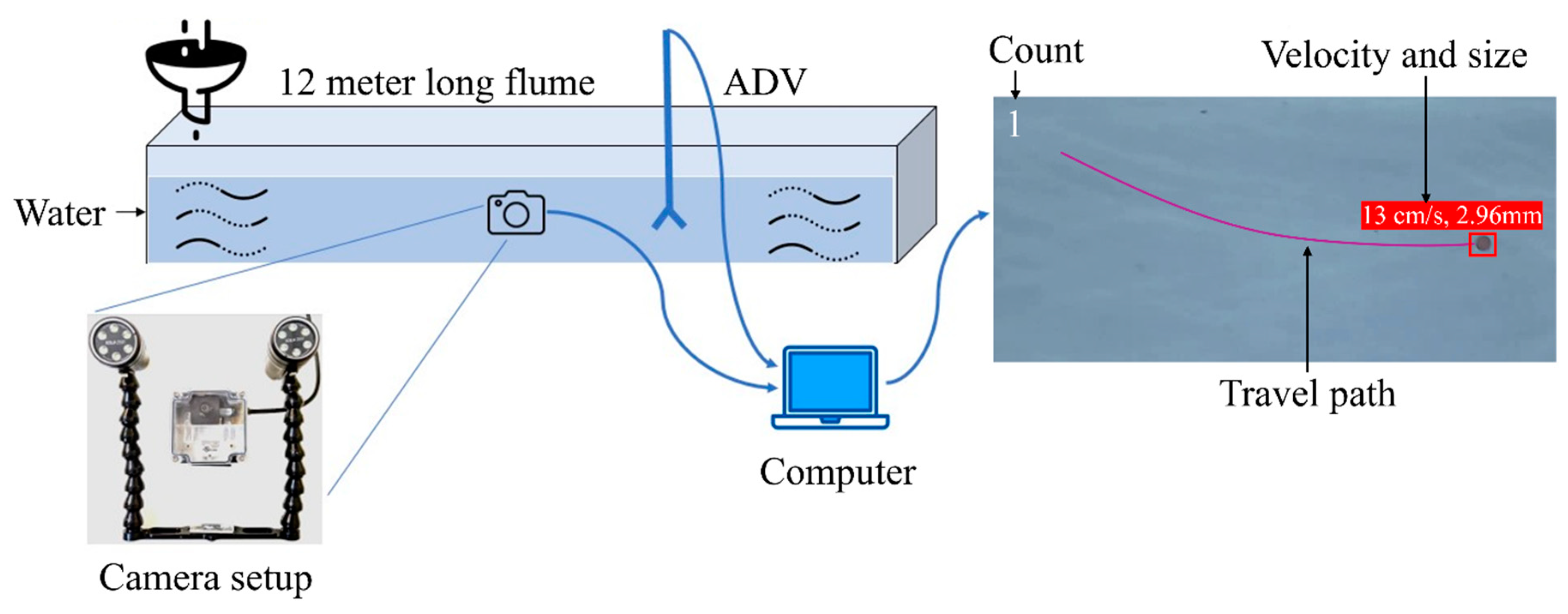 Sensors 24 04394 g002