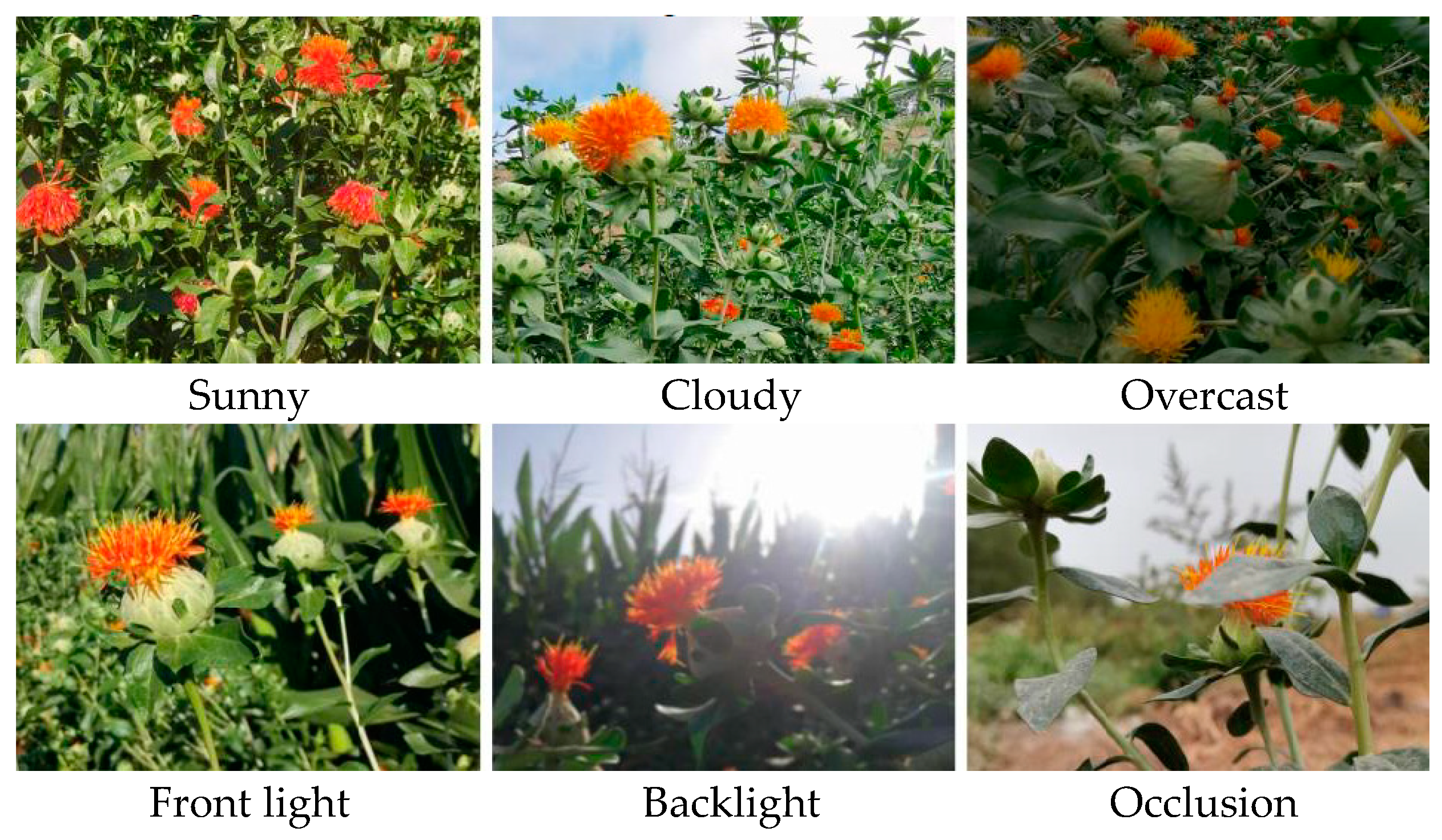 Sensors 24 04410 g001