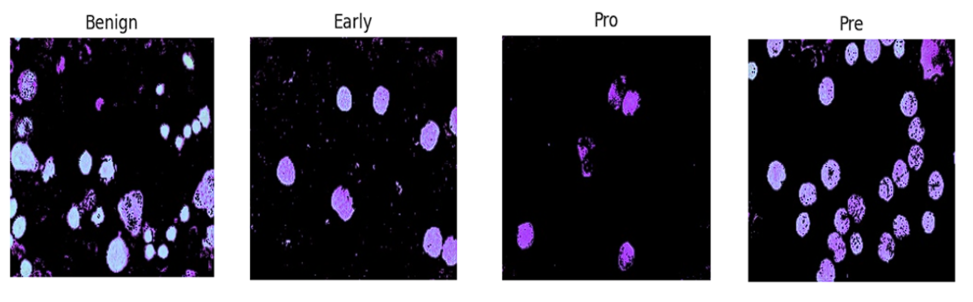 Sensors 24 04420 g003