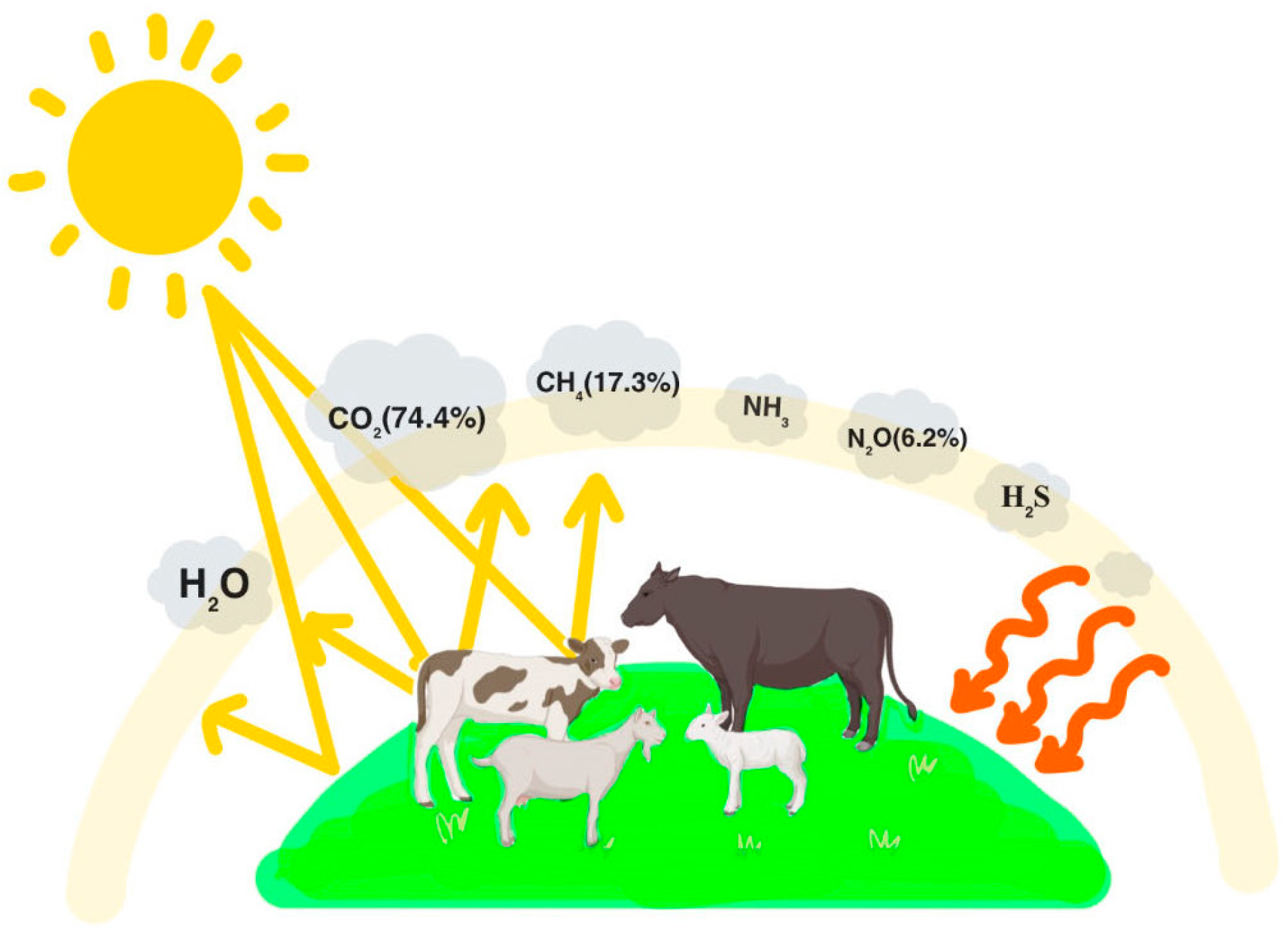 Sensors 24 04423 g001 Sensors 24 04423 g001