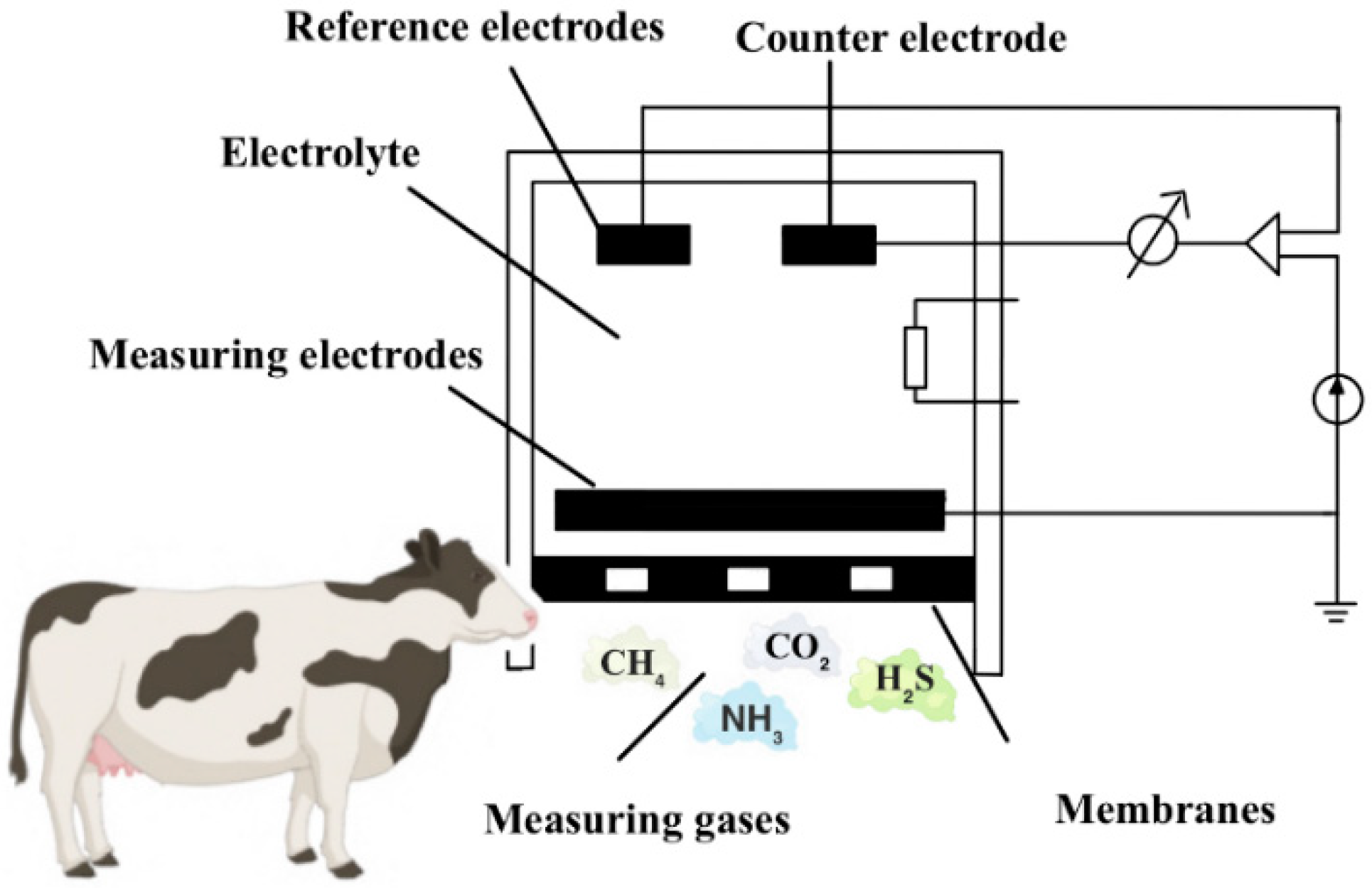 Sensors 24 04423 g005 Sensors 24 04423 g005