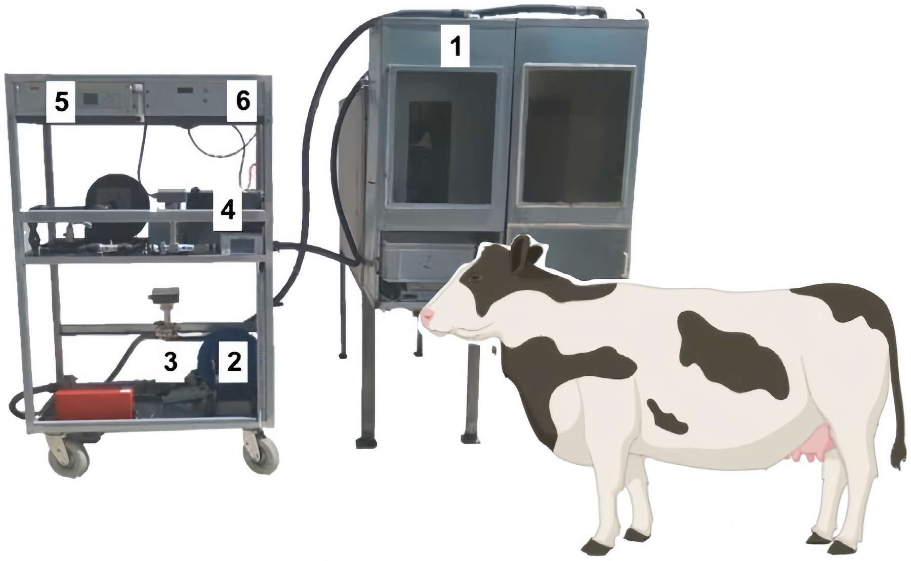 Sensors 24 04423 g012 Sensors 24 04423 g012