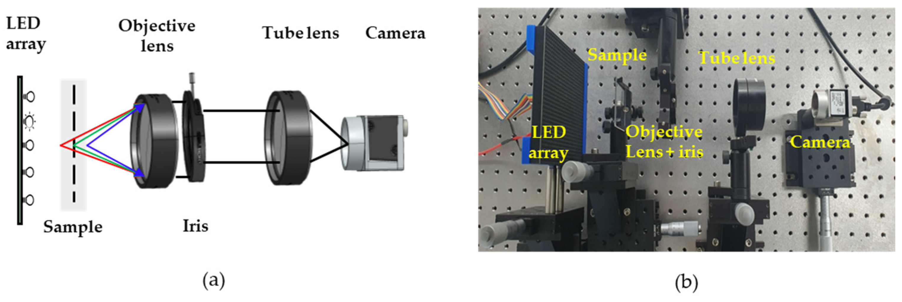 Sensors 24 04426 g006