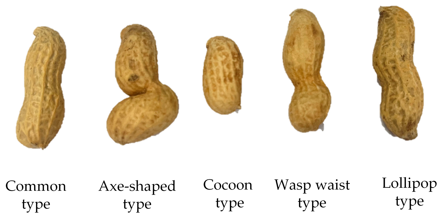 Sensors 24 04434 g001