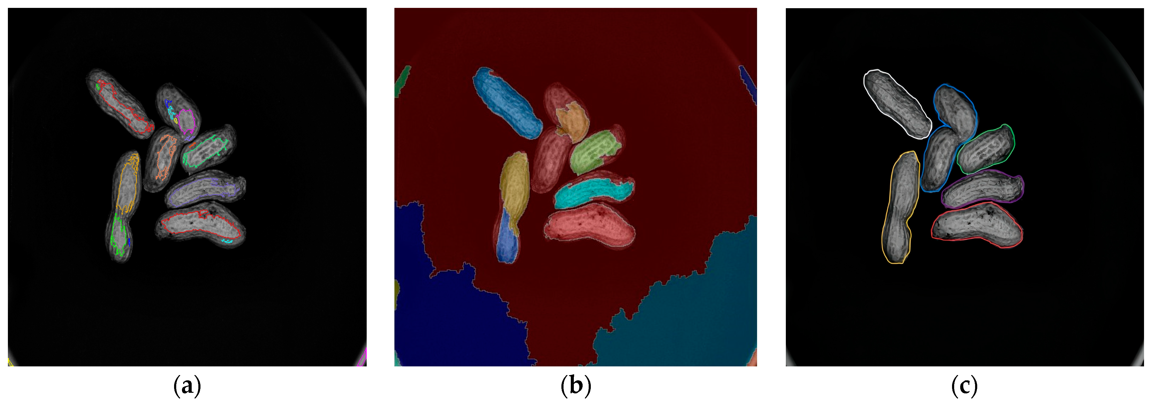 Sensors 24 04434 g013