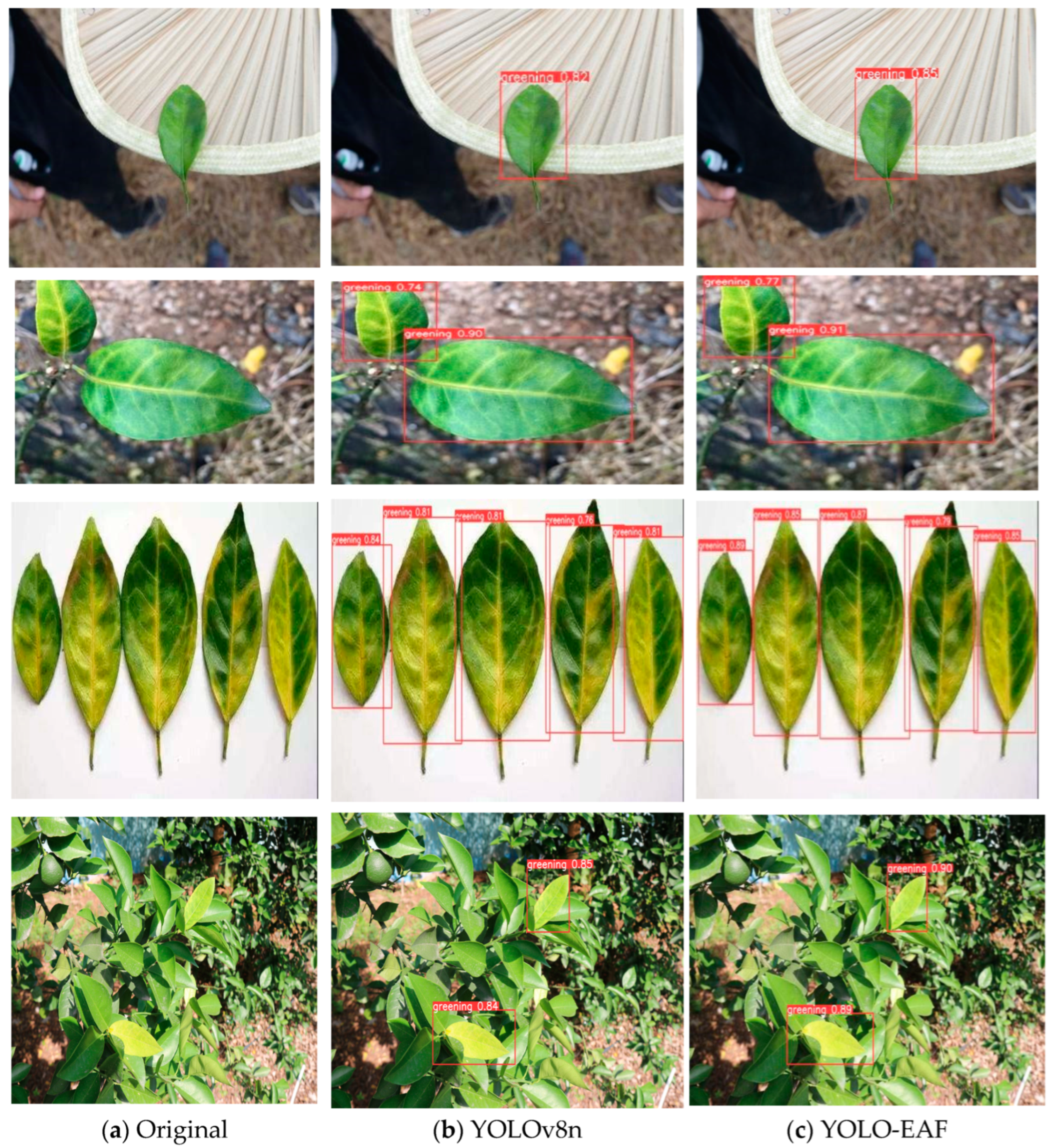 Sensors 24 04448 g012