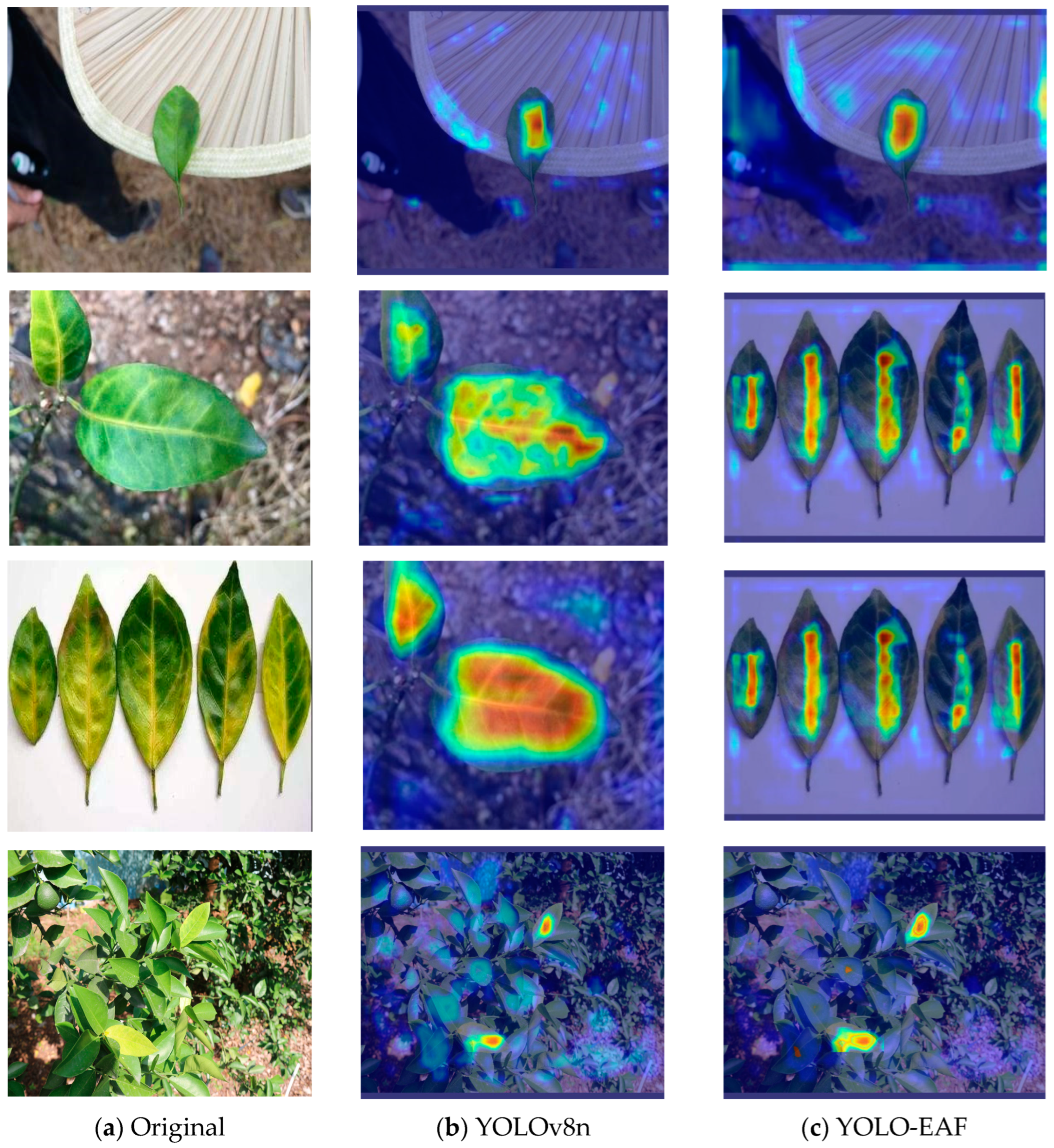 Sensors 24 04448 g013