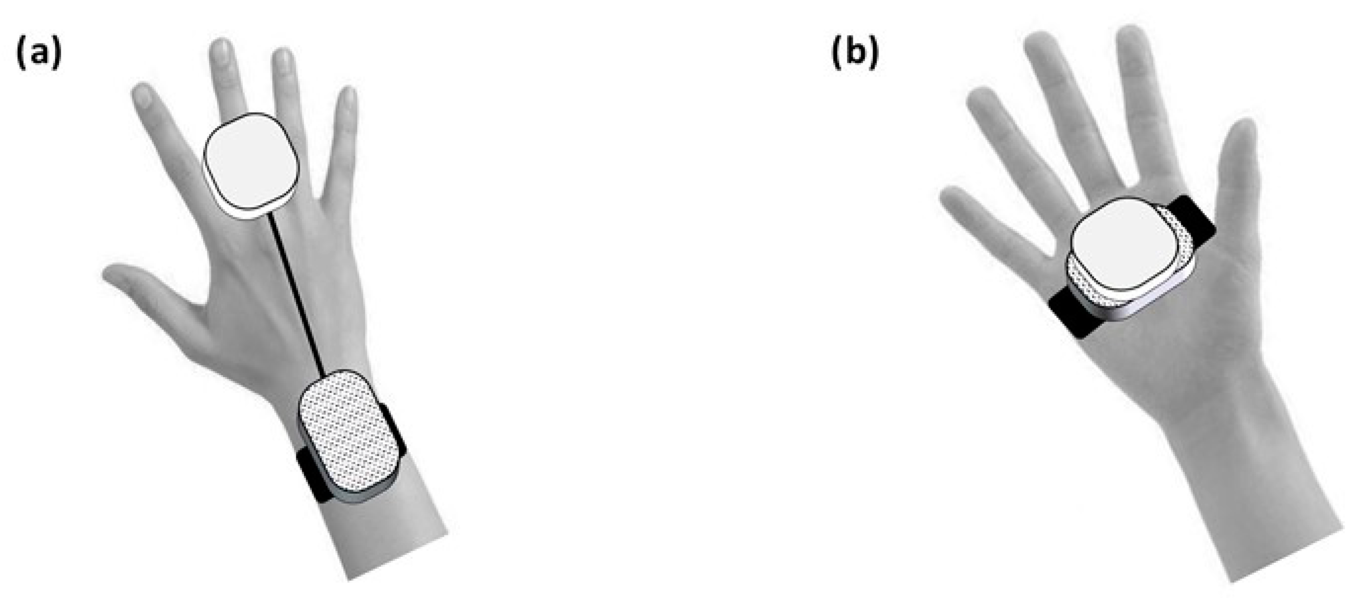 Sensors 24 04453 g002