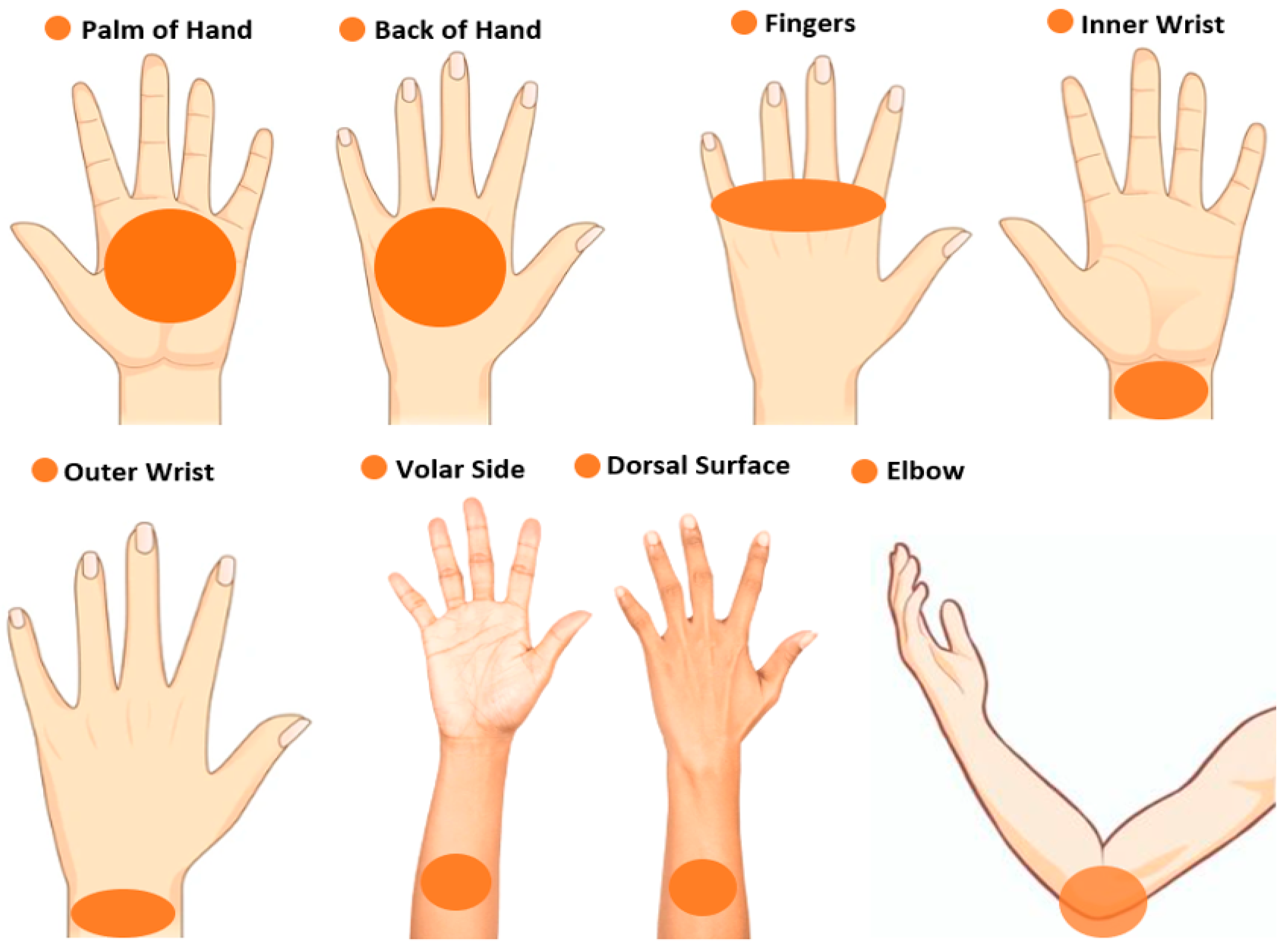 Sensors 24 04461 g003