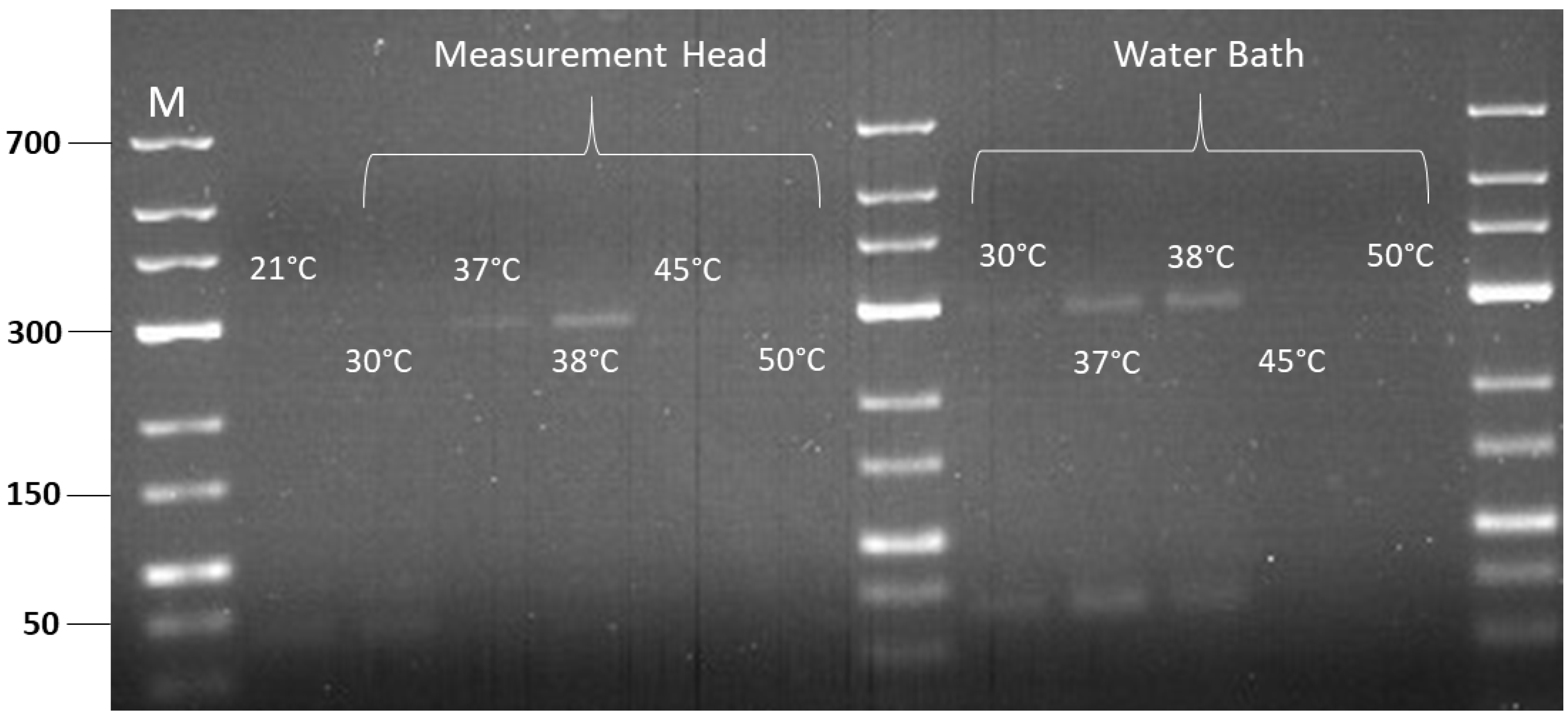 Sensors 24 04478 g005