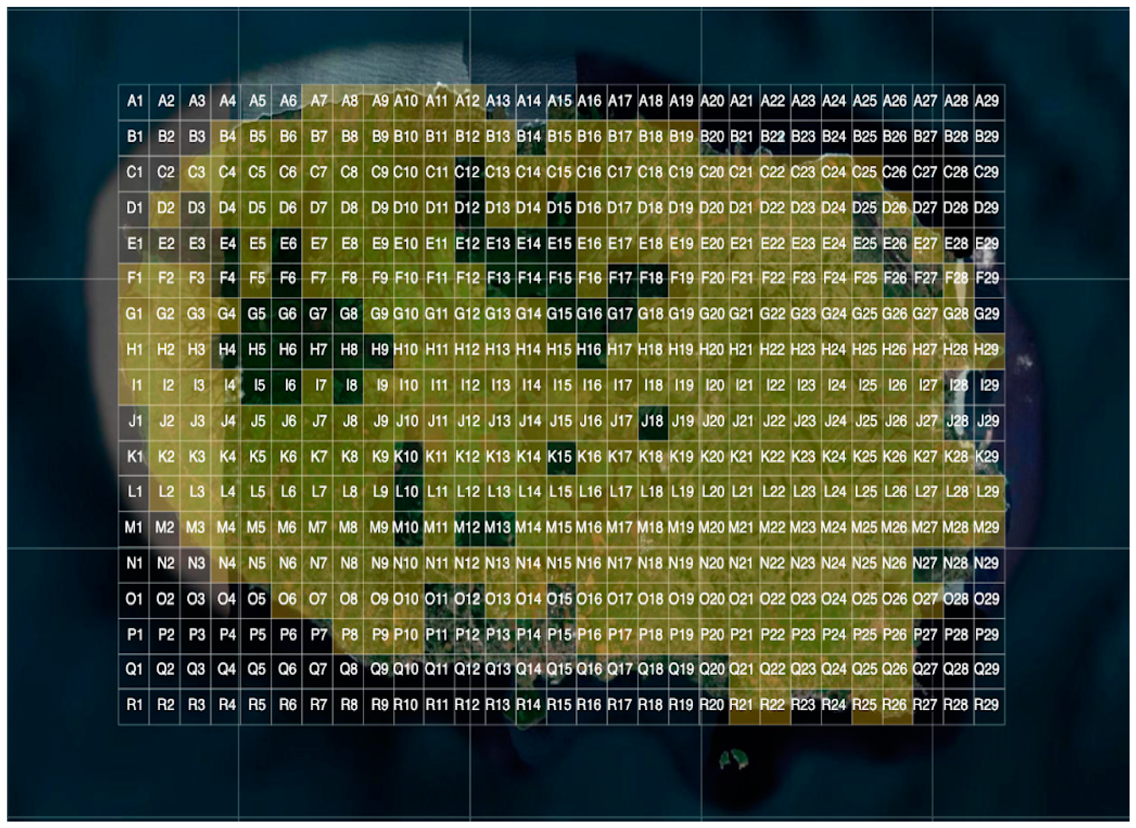 Sensors 24 04485 g006