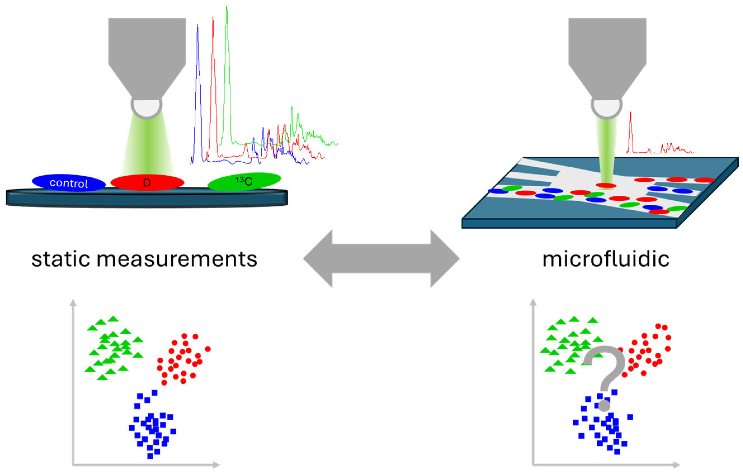 Sensors 24 04503 g001 Sensors 24 04503 g001