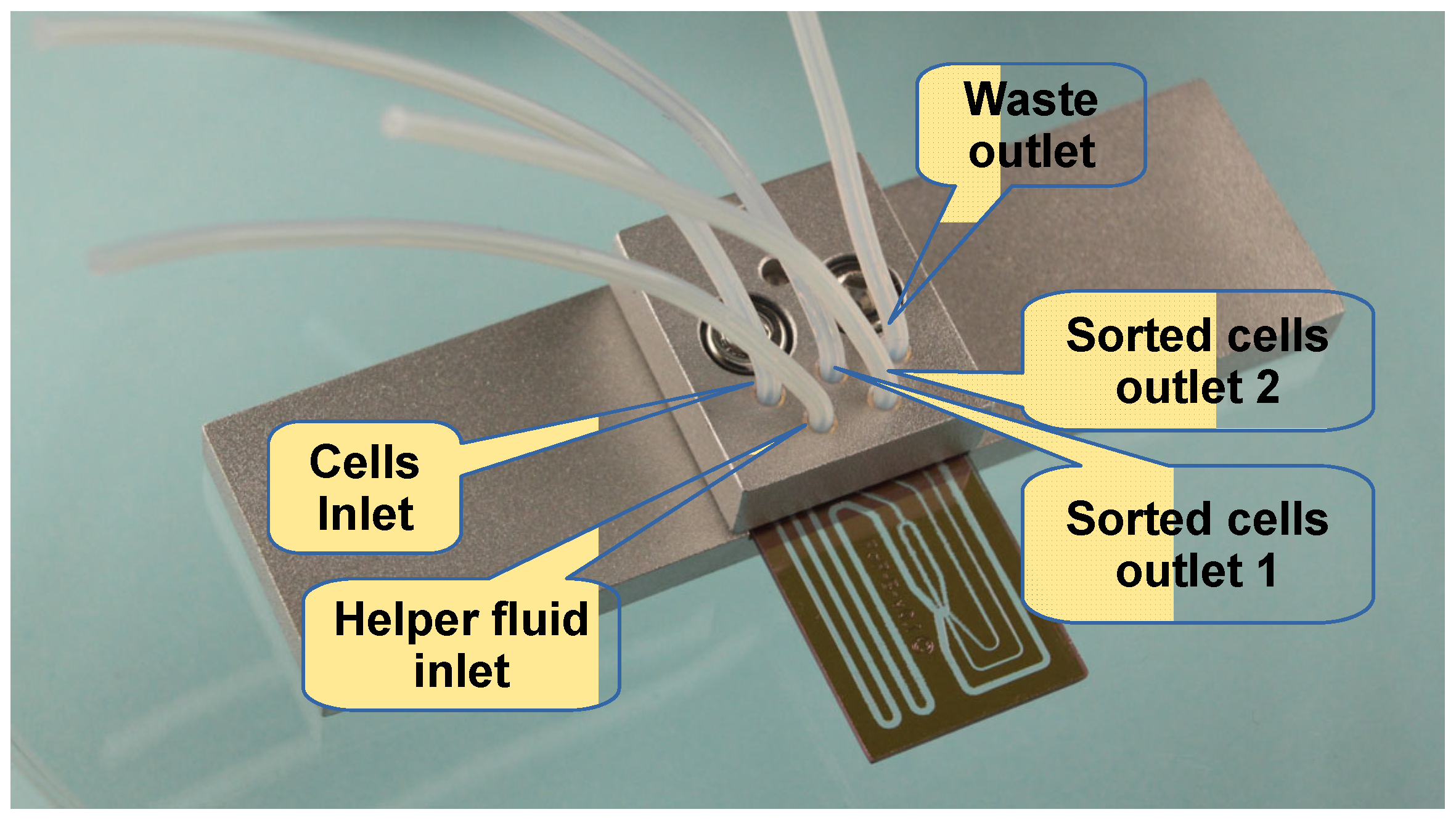 Sensors 24 04503 g004 Sensors 24 04503 g004