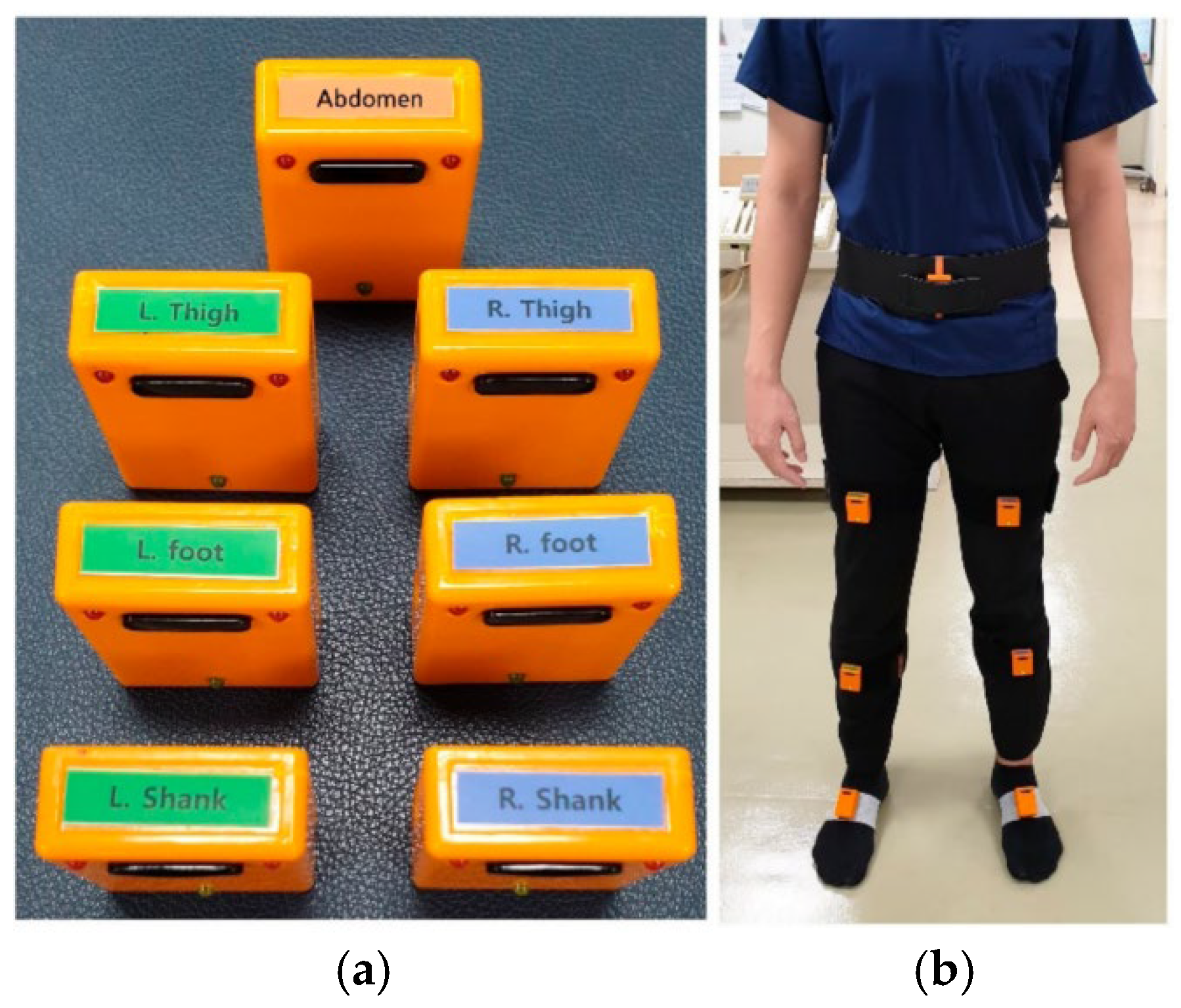 Sensors 24 04504 g001