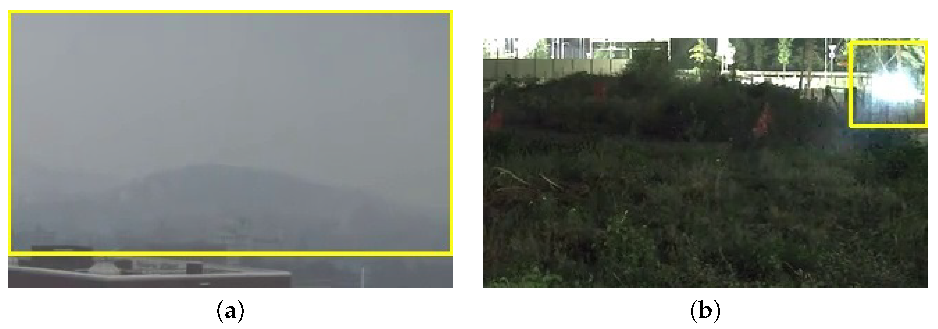 Sensors 24 04519 g012