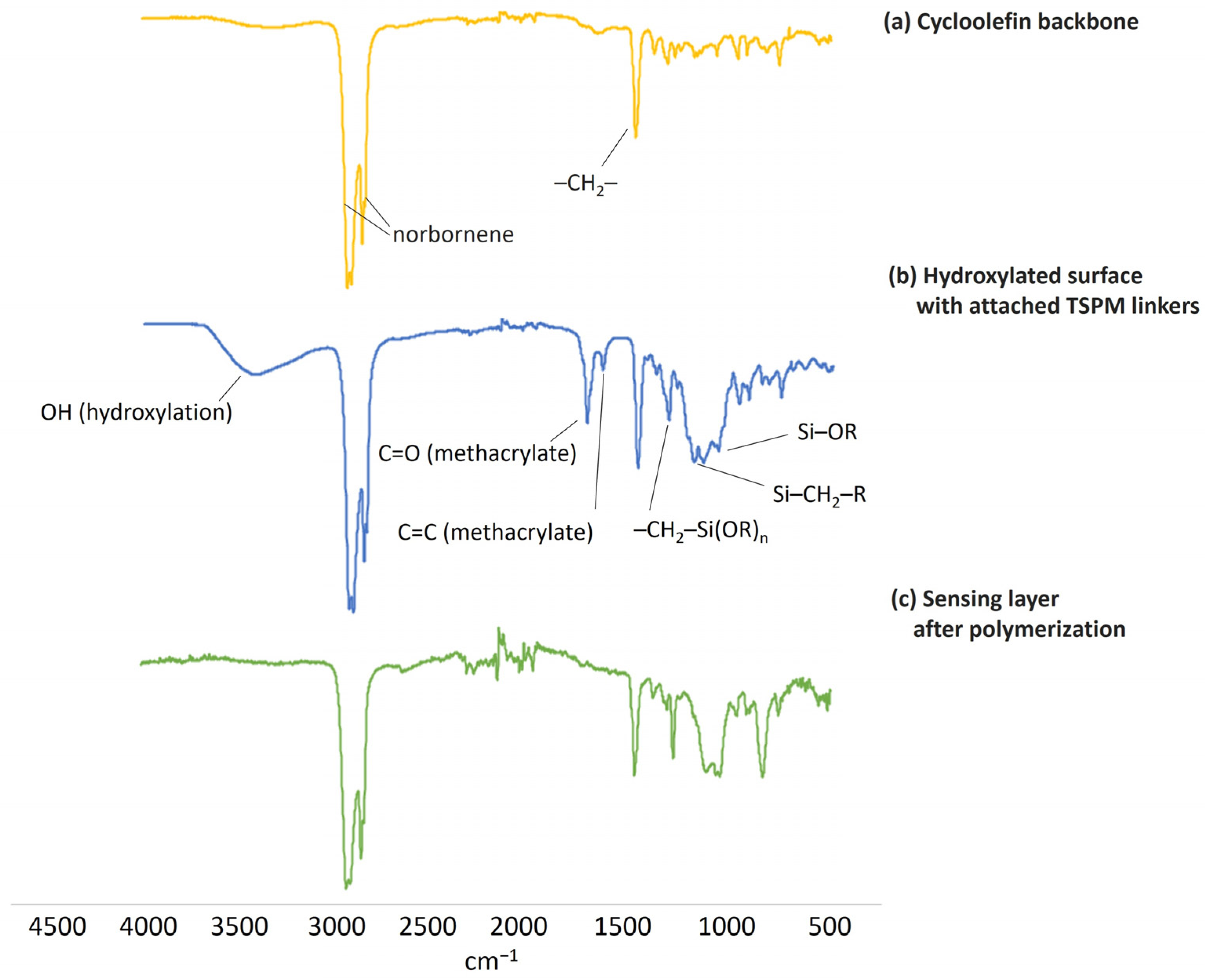 Sensors 24 04529 g003