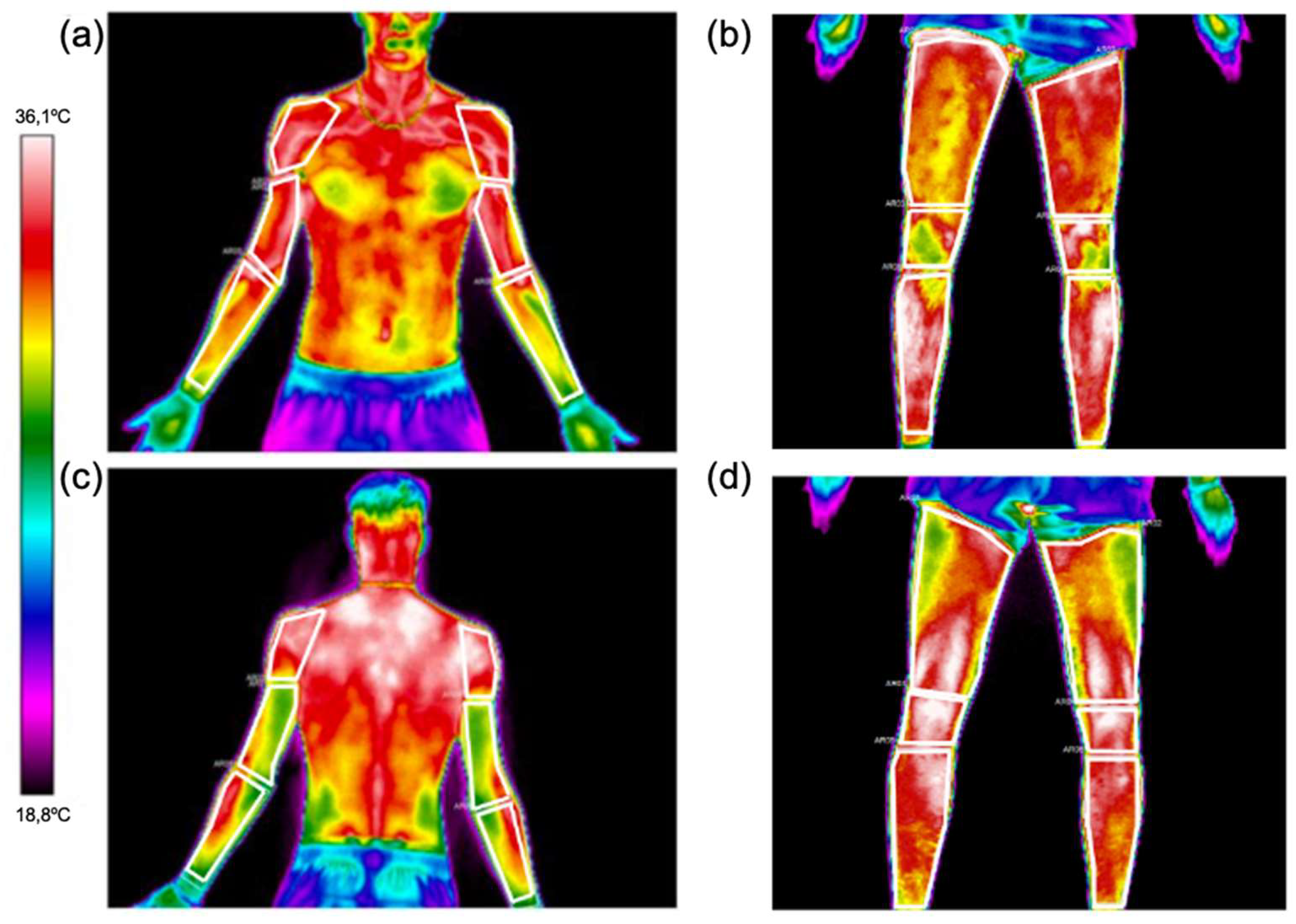 Sensors 24 04534 g002