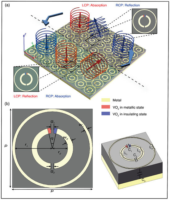 Unraveling the Janus-Faced Role of Autophagy in