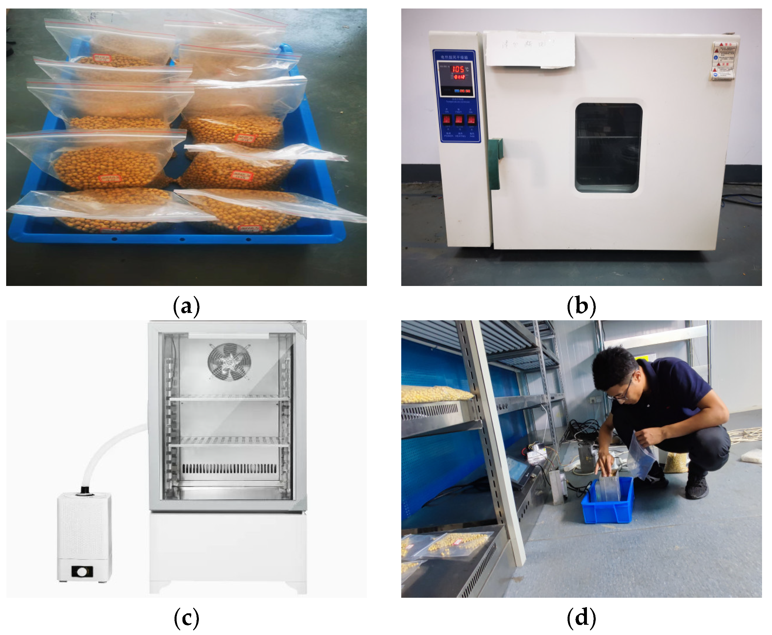 Sensors 24 04551 g010