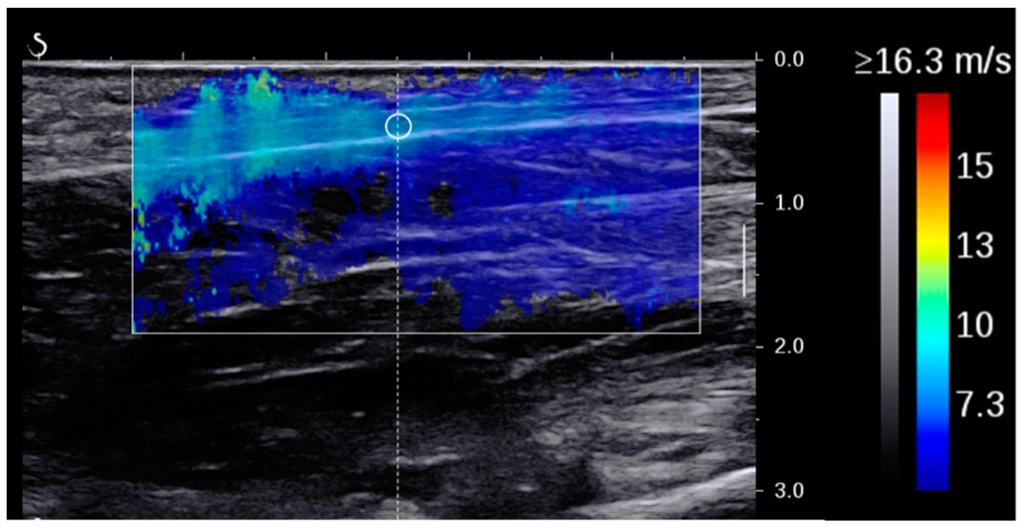 Sensors 24 04552 g002