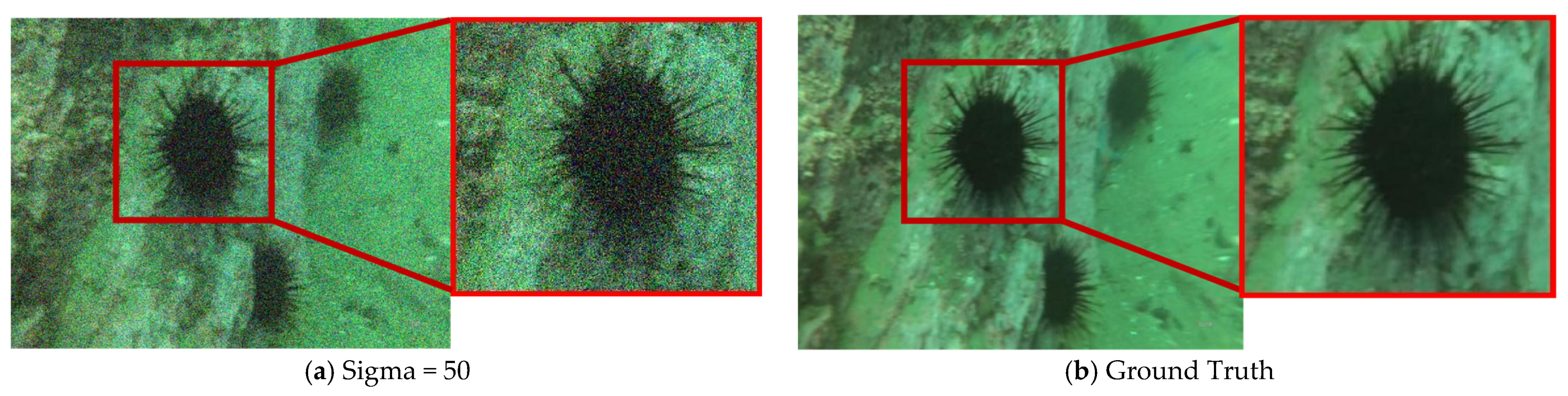 Sensors 24 04578 g007a