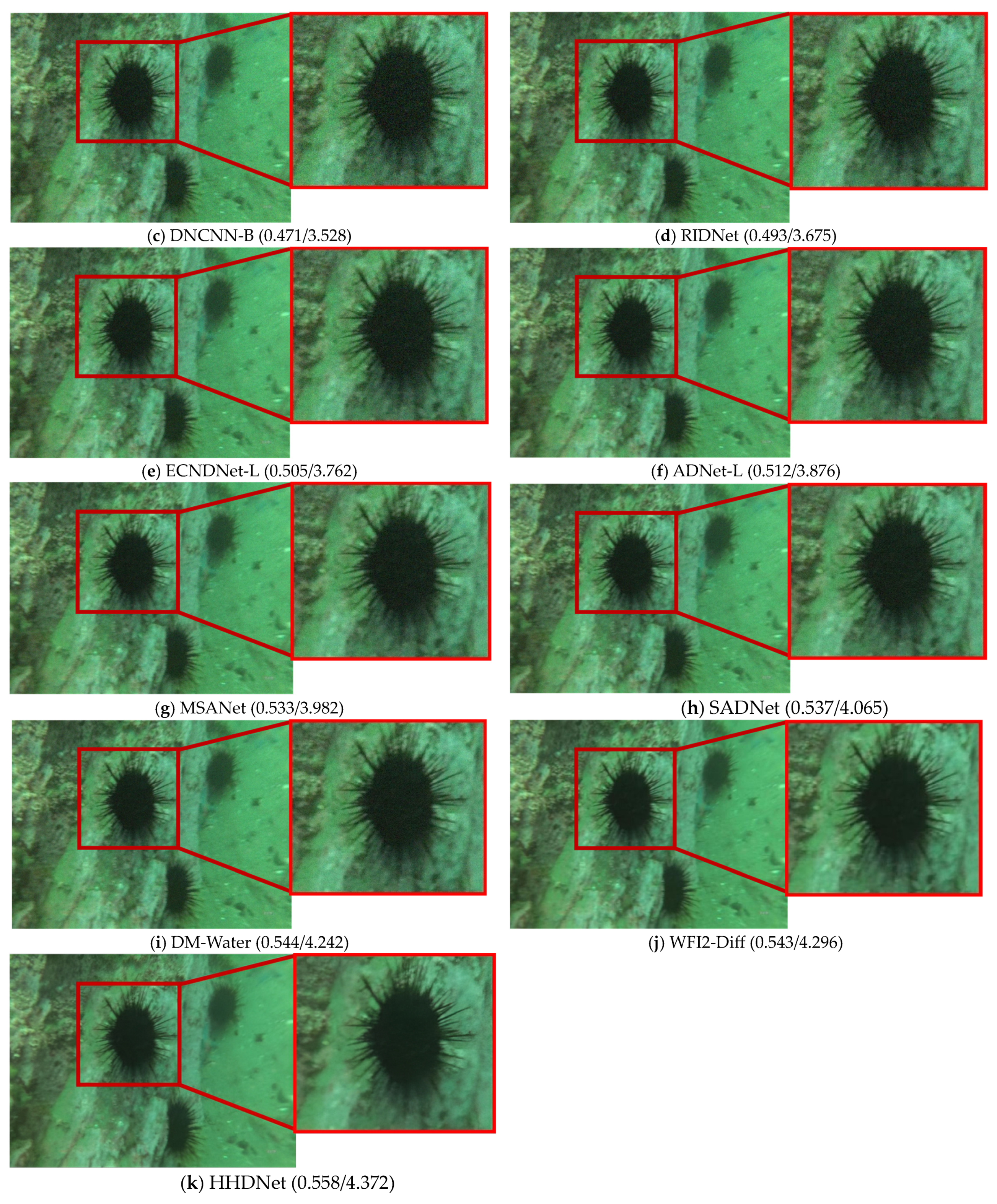 Sensors 24 04578 g007b