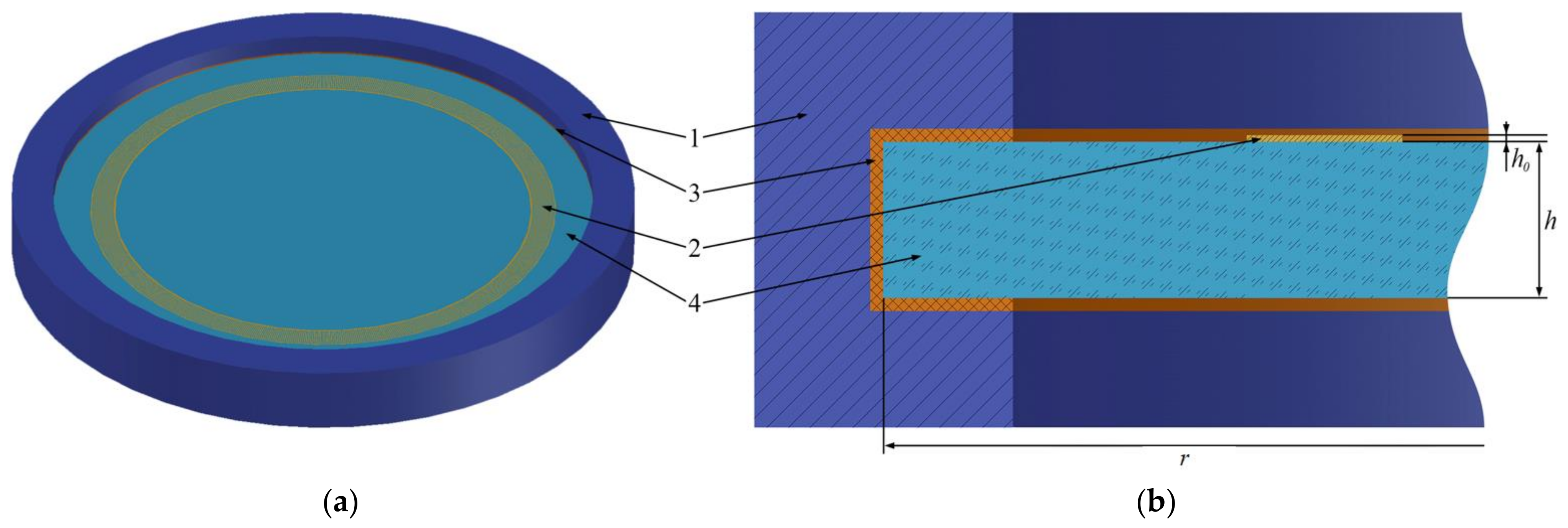 Sensors 24 04584 g001