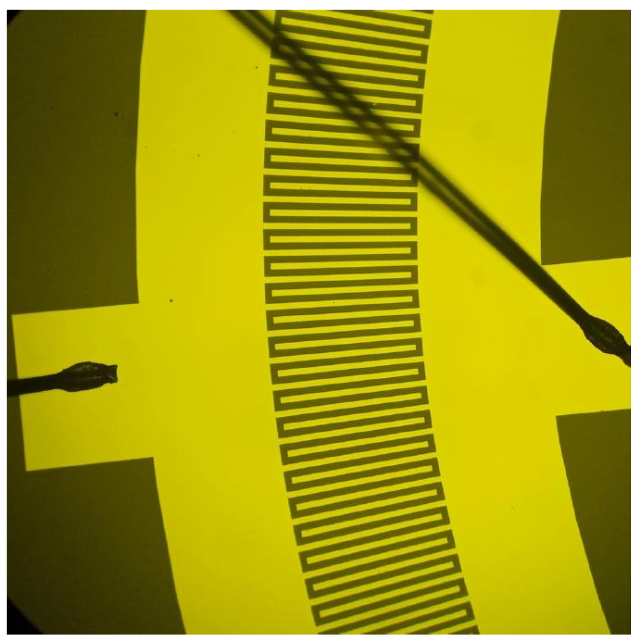 Sensors 24 04584 g014