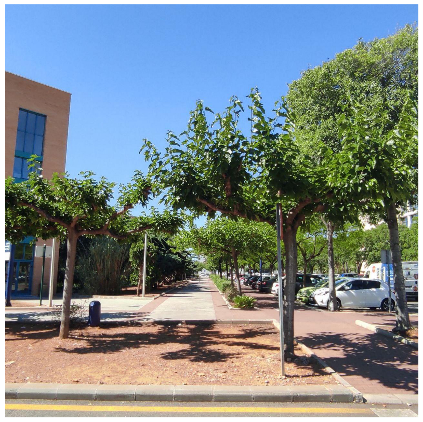 Sensors 24 04588 g001