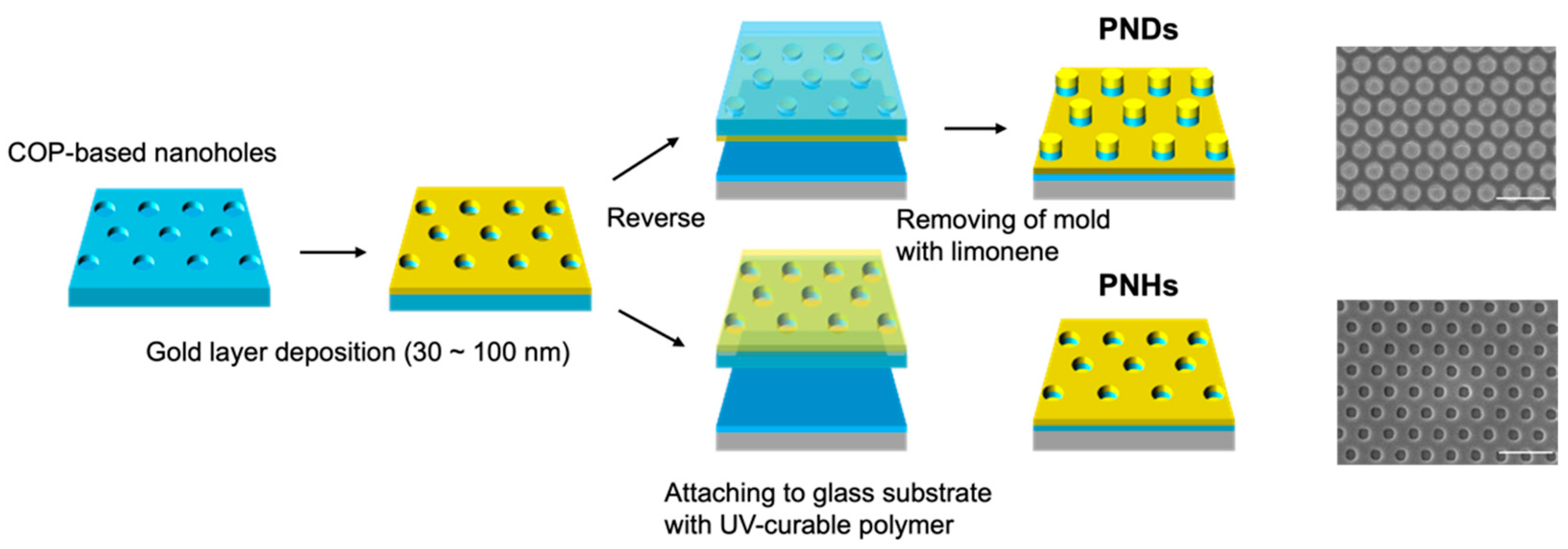 Sensors 24 04599 g001
