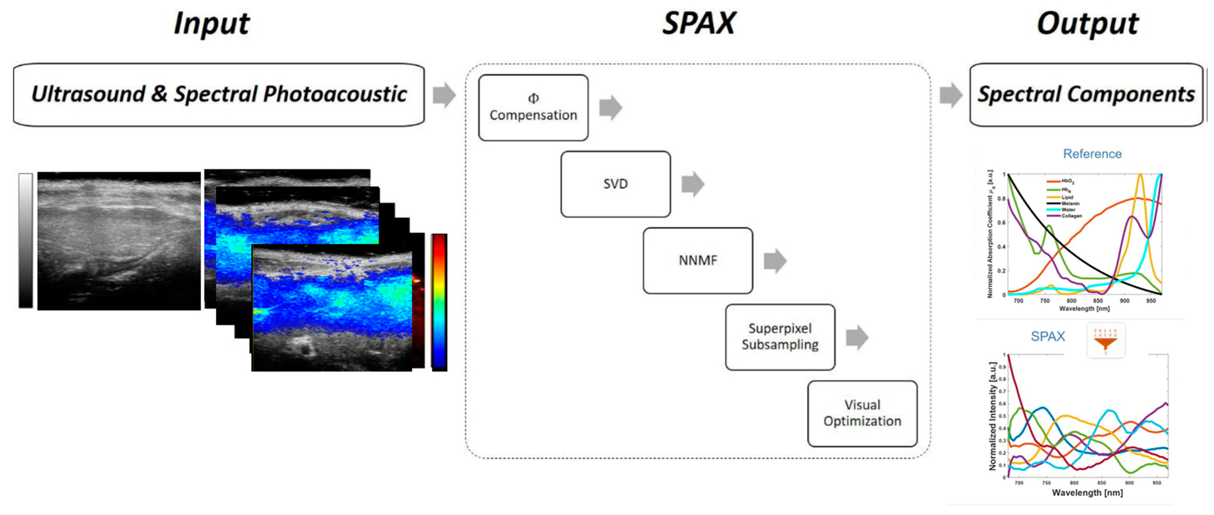 Sensors 24 04617 g001