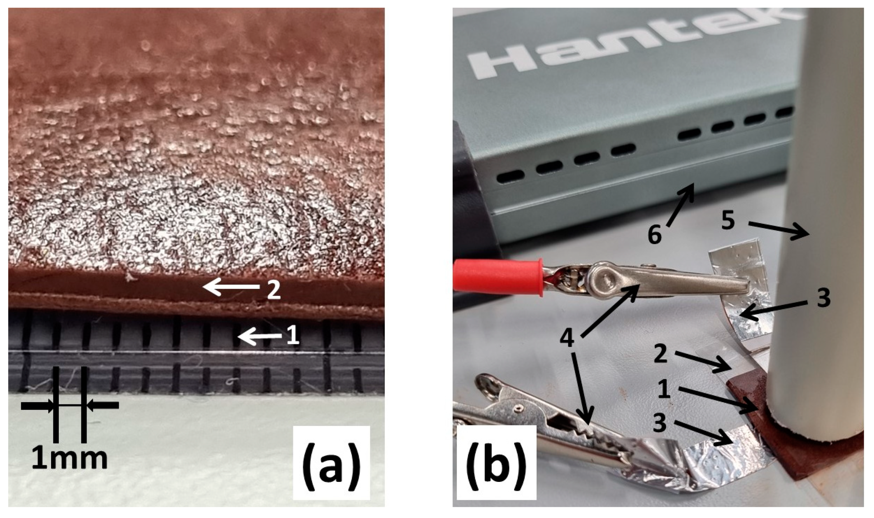Sensors 24 04622 g002