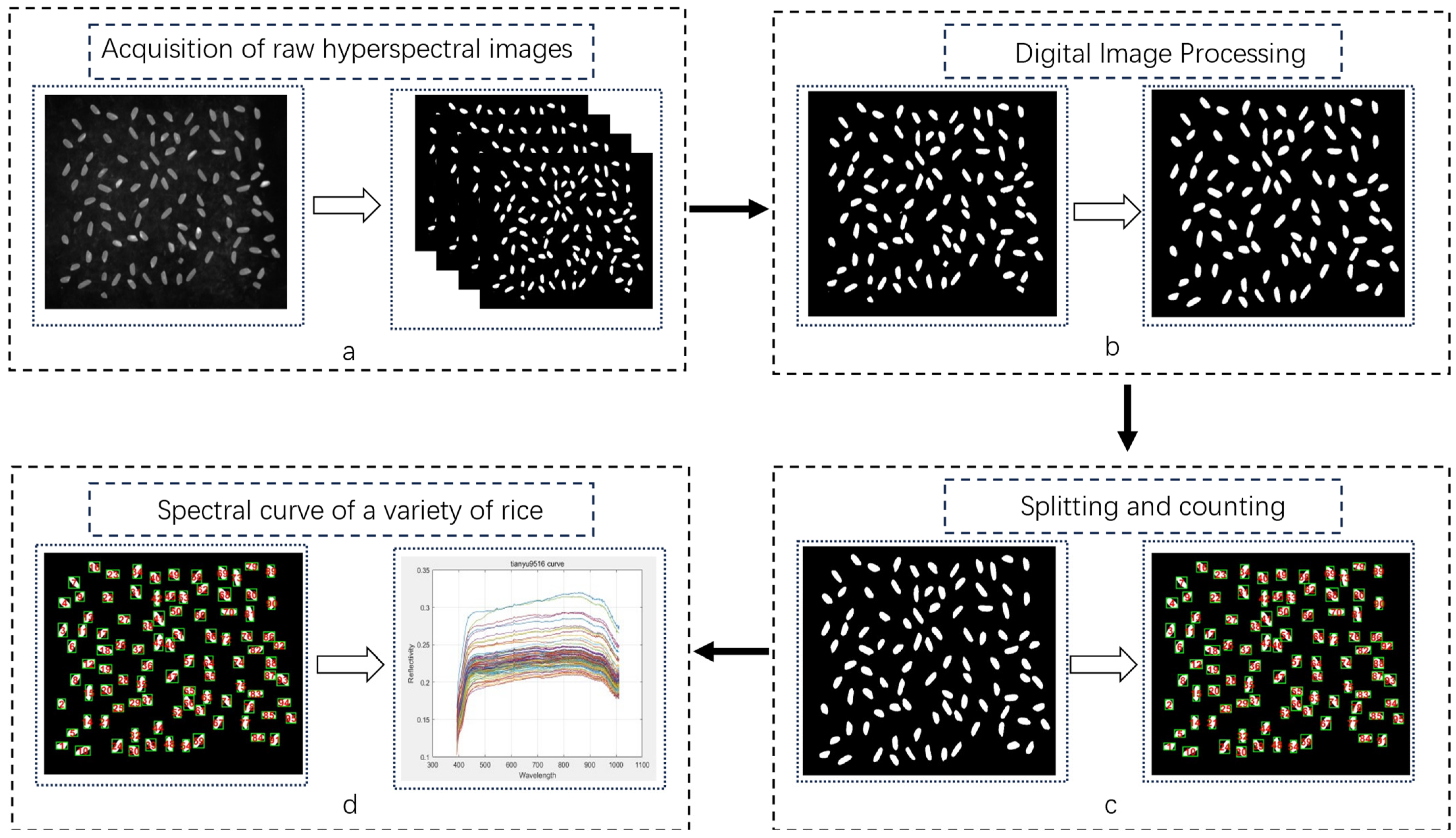 Sensors 24 04635 g002