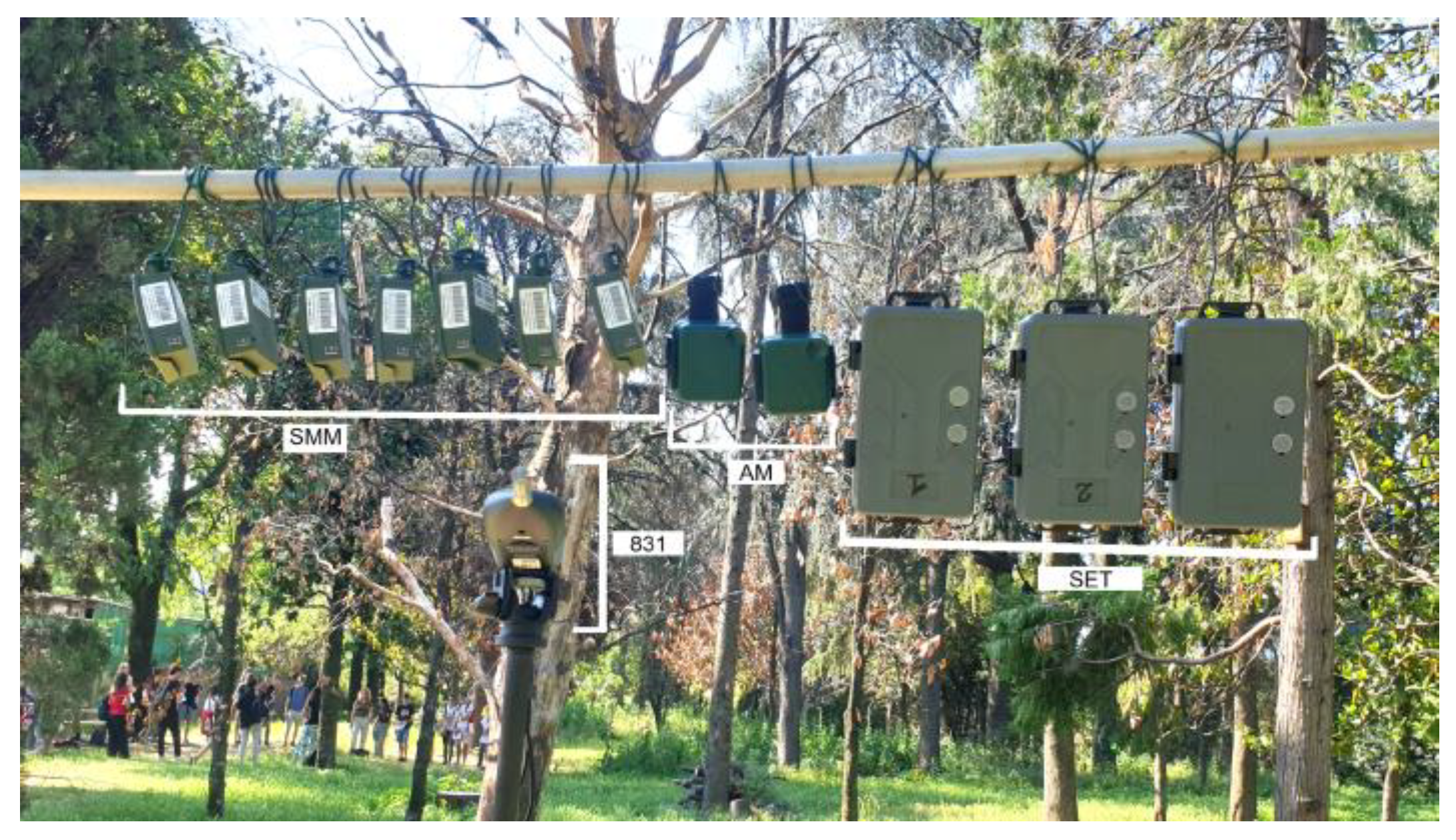 Sensors 24 04642 g011