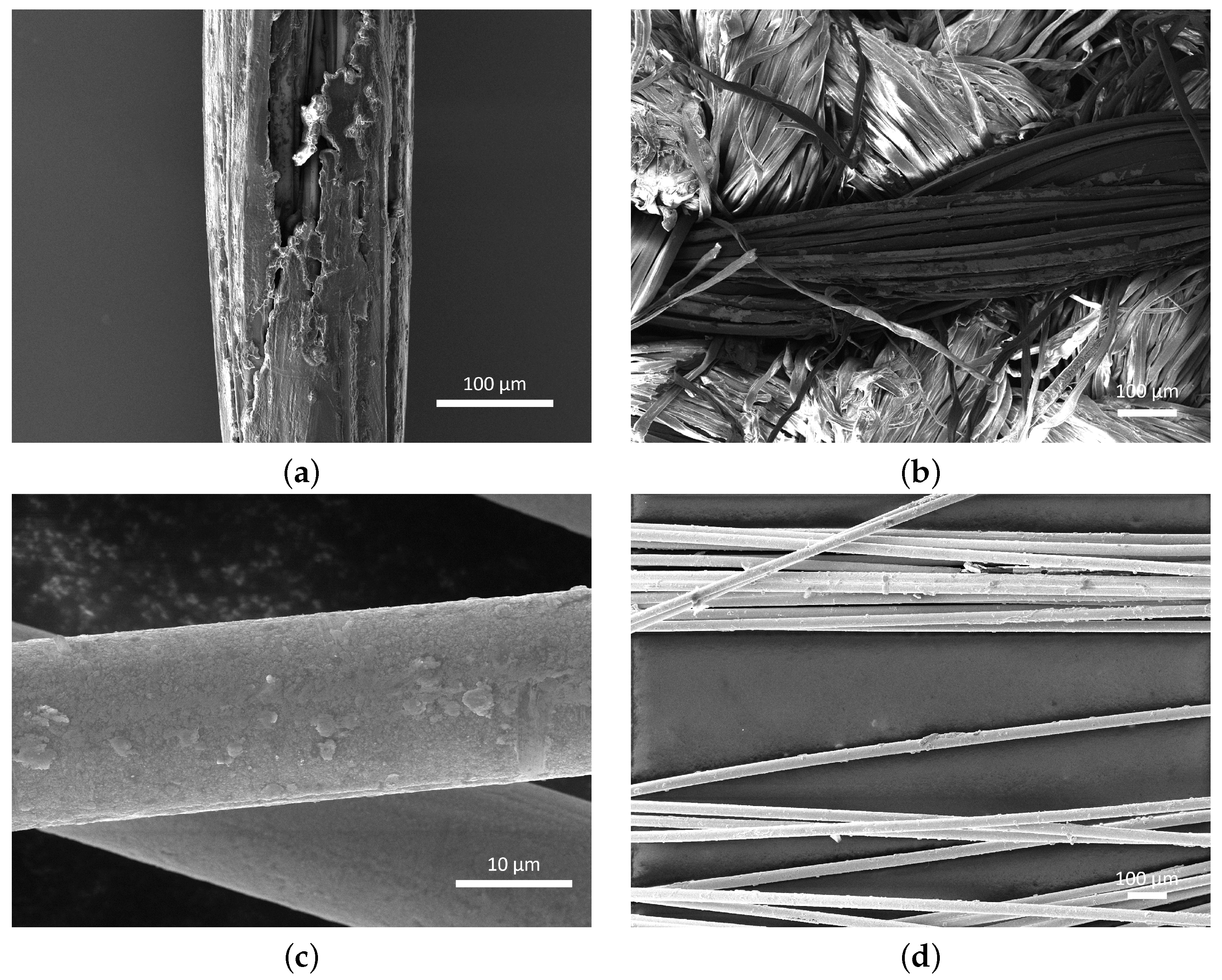 Sensors 24 04643 g002