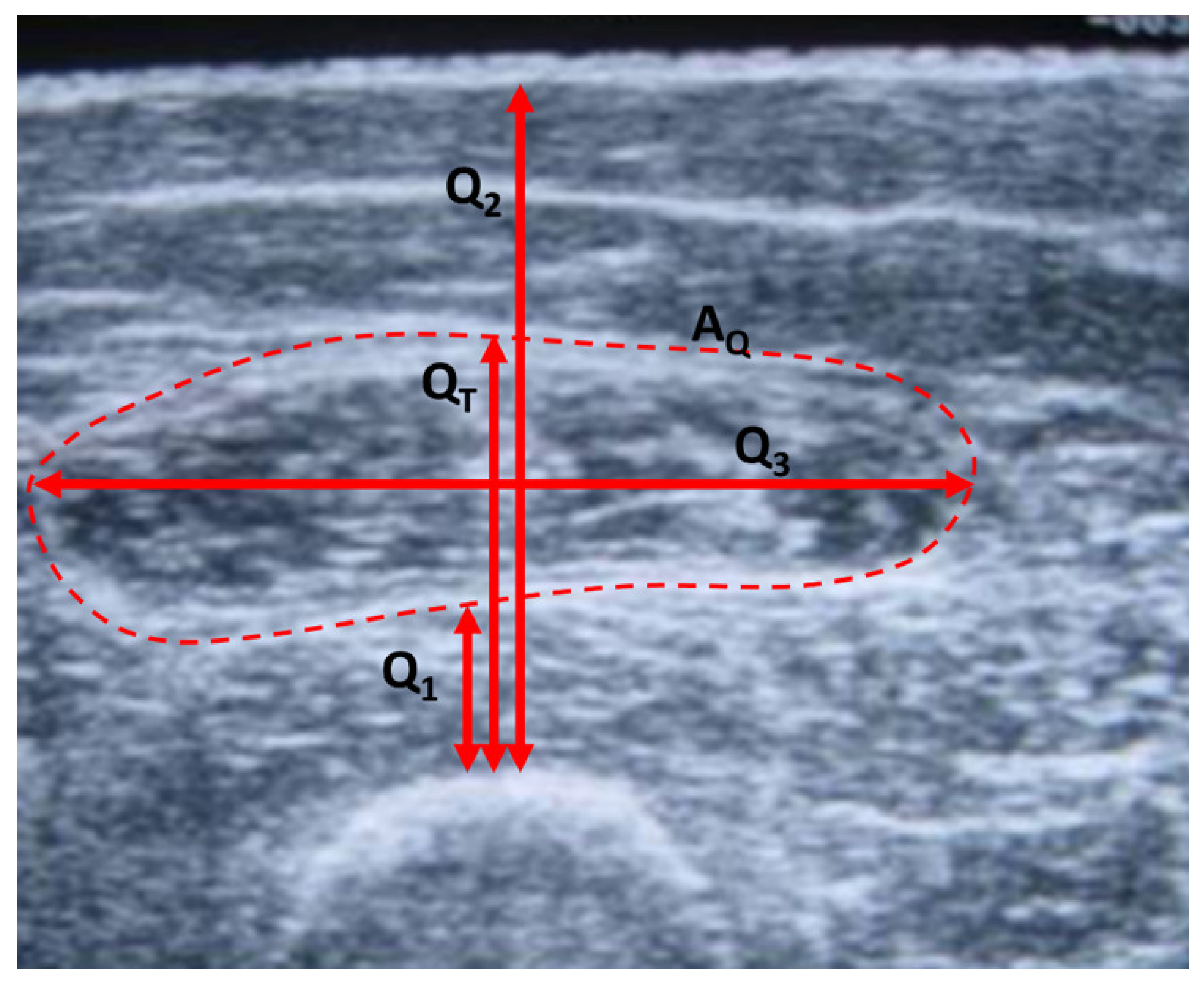 Sensors 24 04648 g001